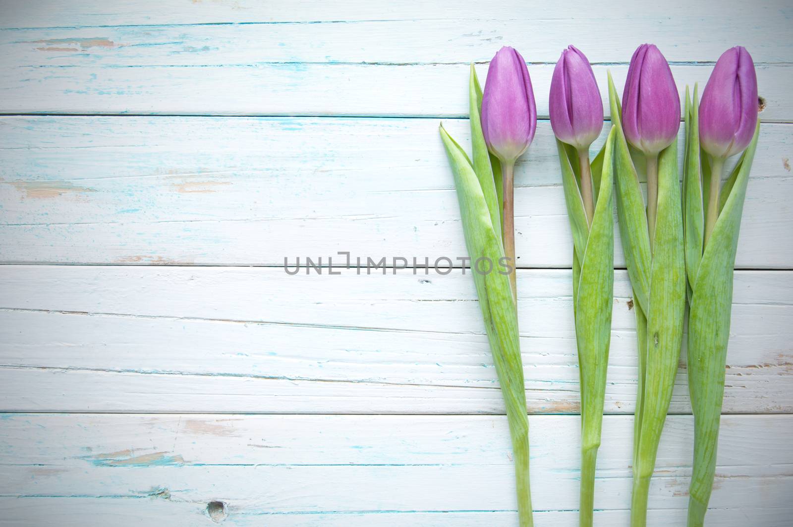 Spring tulips on wooden background with space