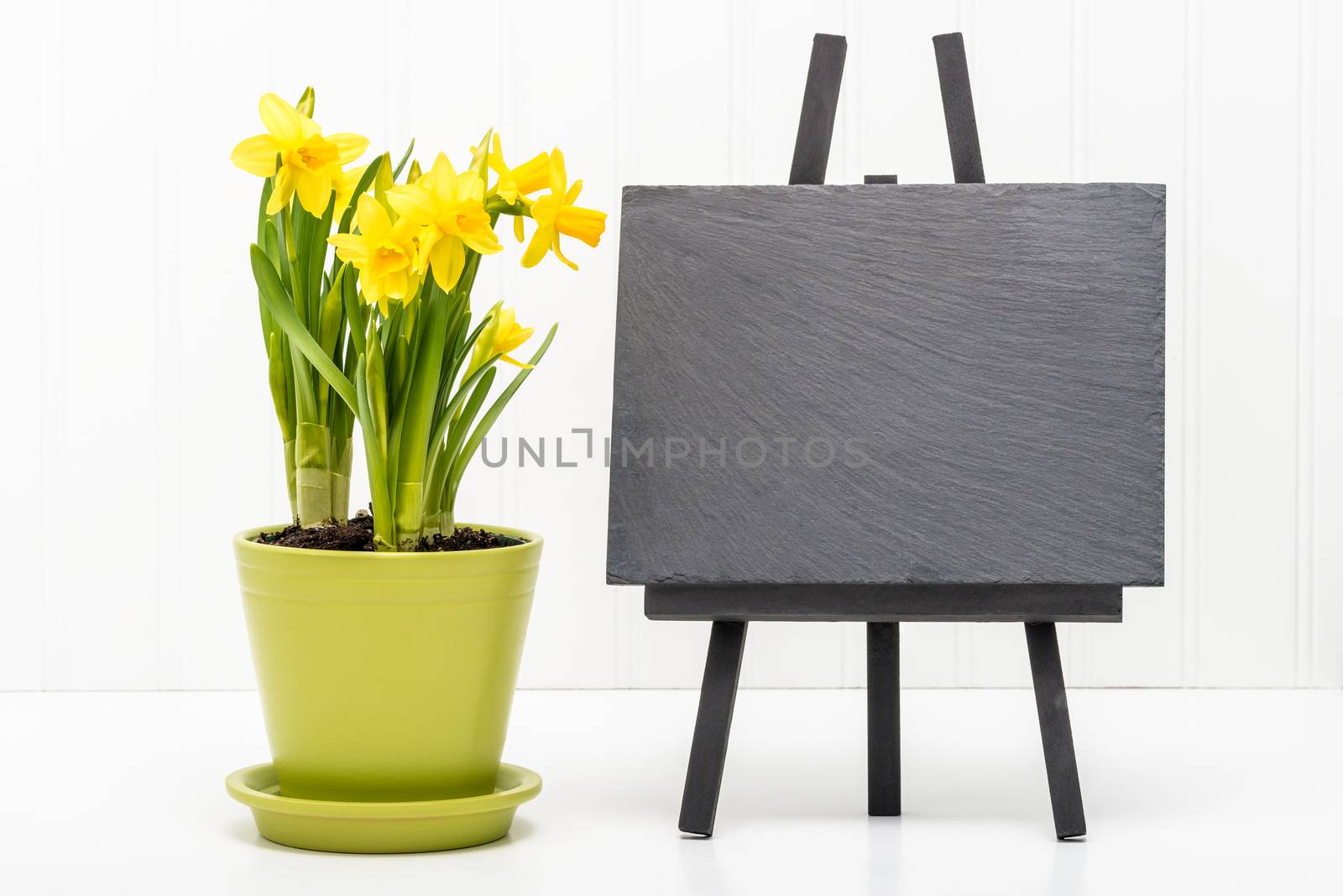 Spring daffodils and a blank slate suitable for including your own message.