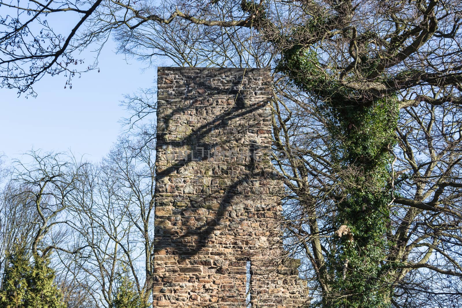 Ruin and tower of the castle Luttelnau in Essen Kettwig on the Ruhr River.