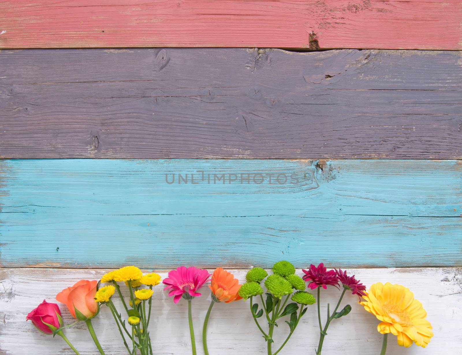 Spring flower background by unikpix