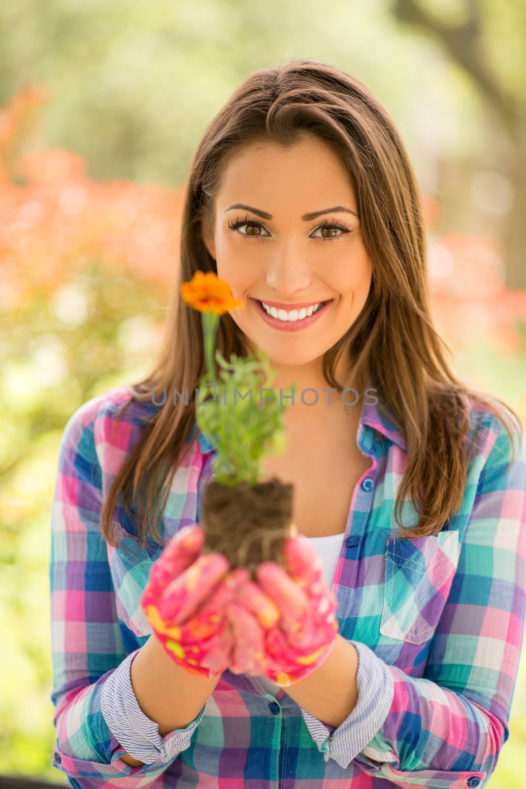 Portrait of a smiling young woman planting flowers in the garden. Looking at camera.