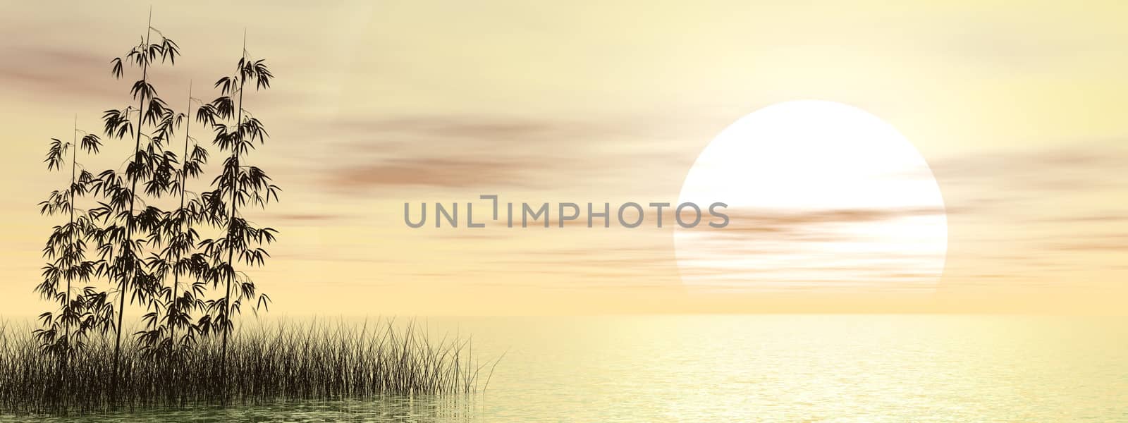 Bamboos and grass over water by sunset - 3D render