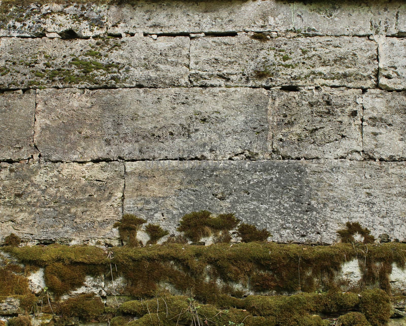 The texture of the stones in the blank stone wall that separates the park Sylvia in the Gatchina park.