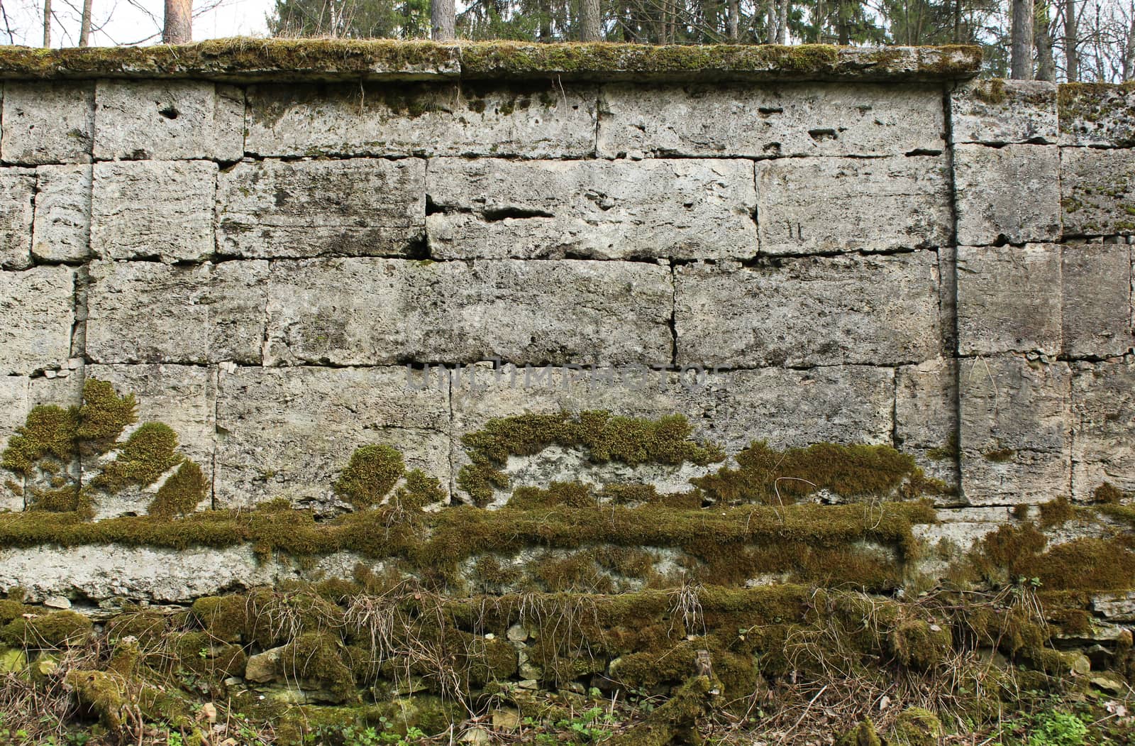 The texture of the stones in the blank stone wall that separates the park Sylvia in the Gatchina park.