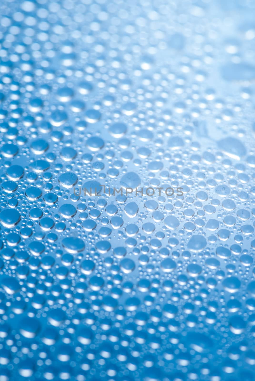 close-up of water drops on the blue background.