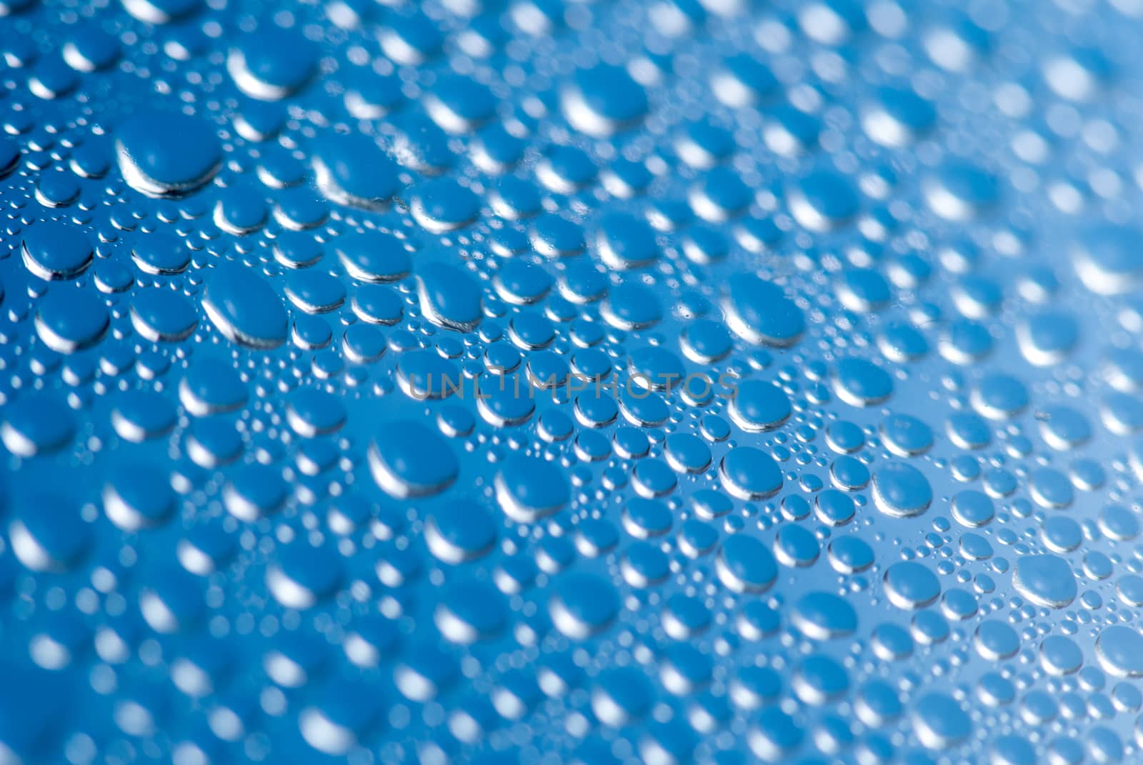 close-up of water drops on the blue background.