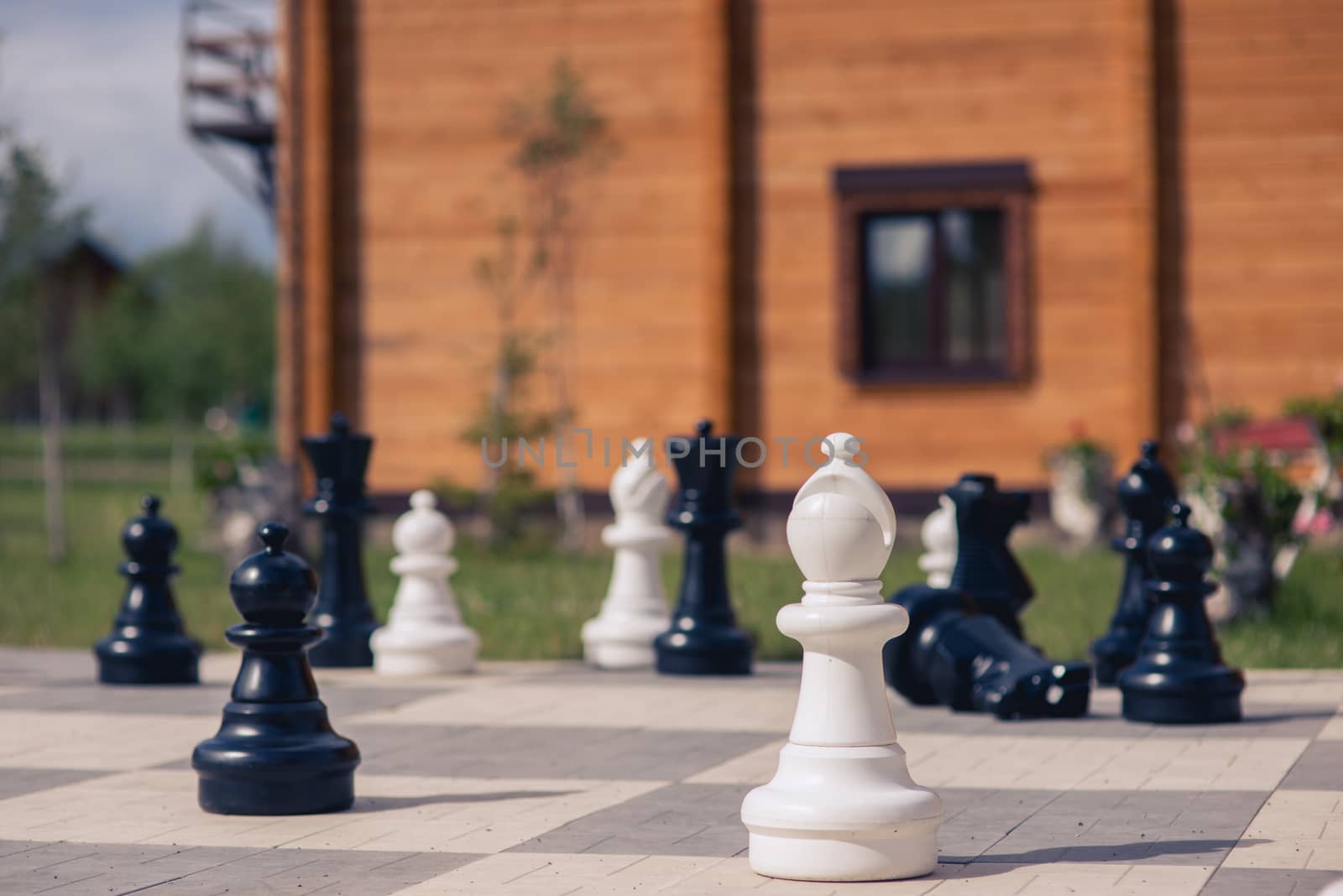 big chess on a background of wooden house and grass field.