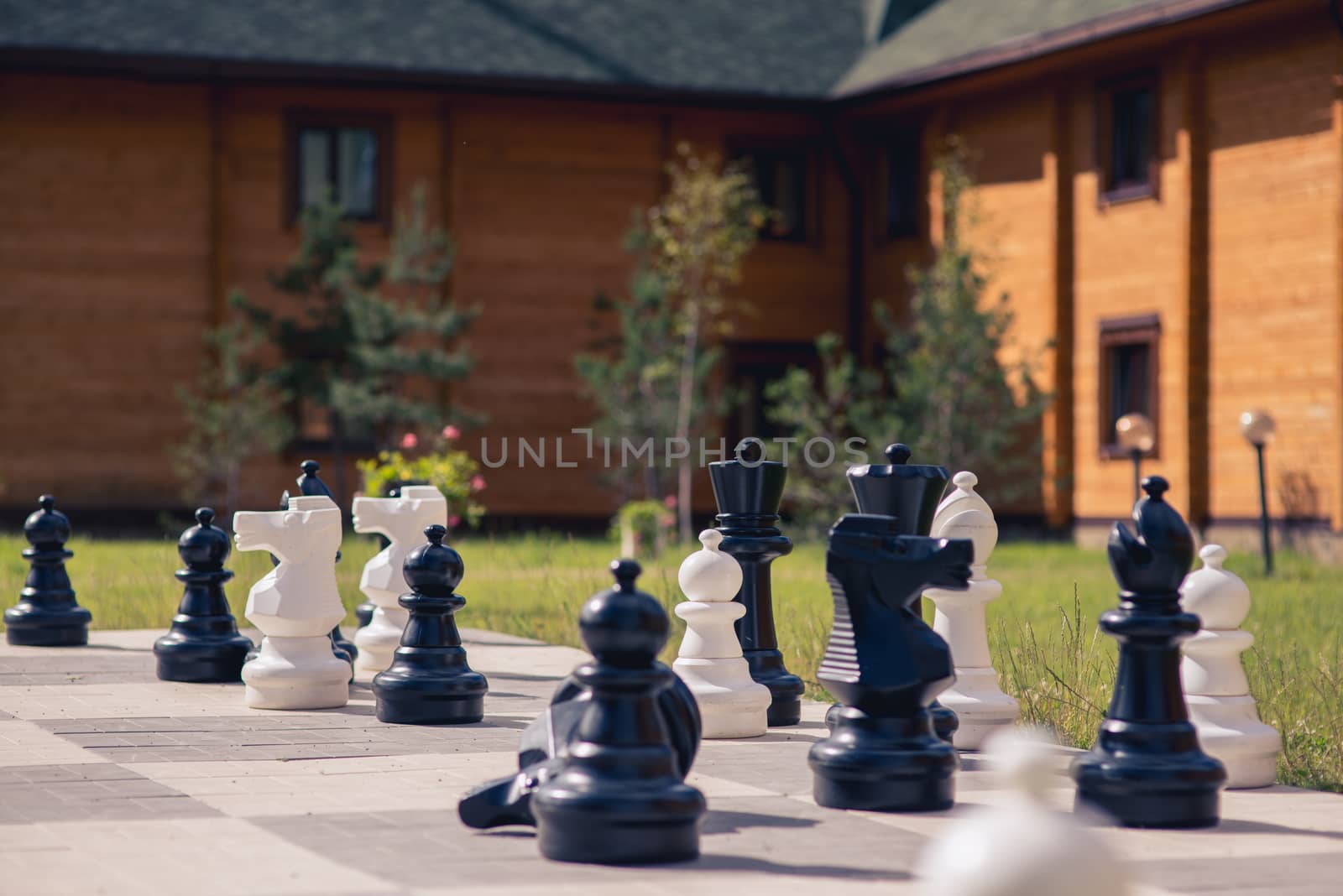 big chess on a background of  wooden house and grass field by skrotov