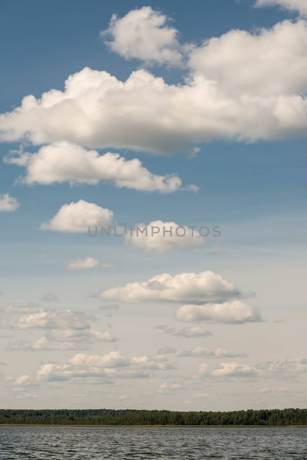 Beautiful summer lake, on  background of forest and cloudy sky.