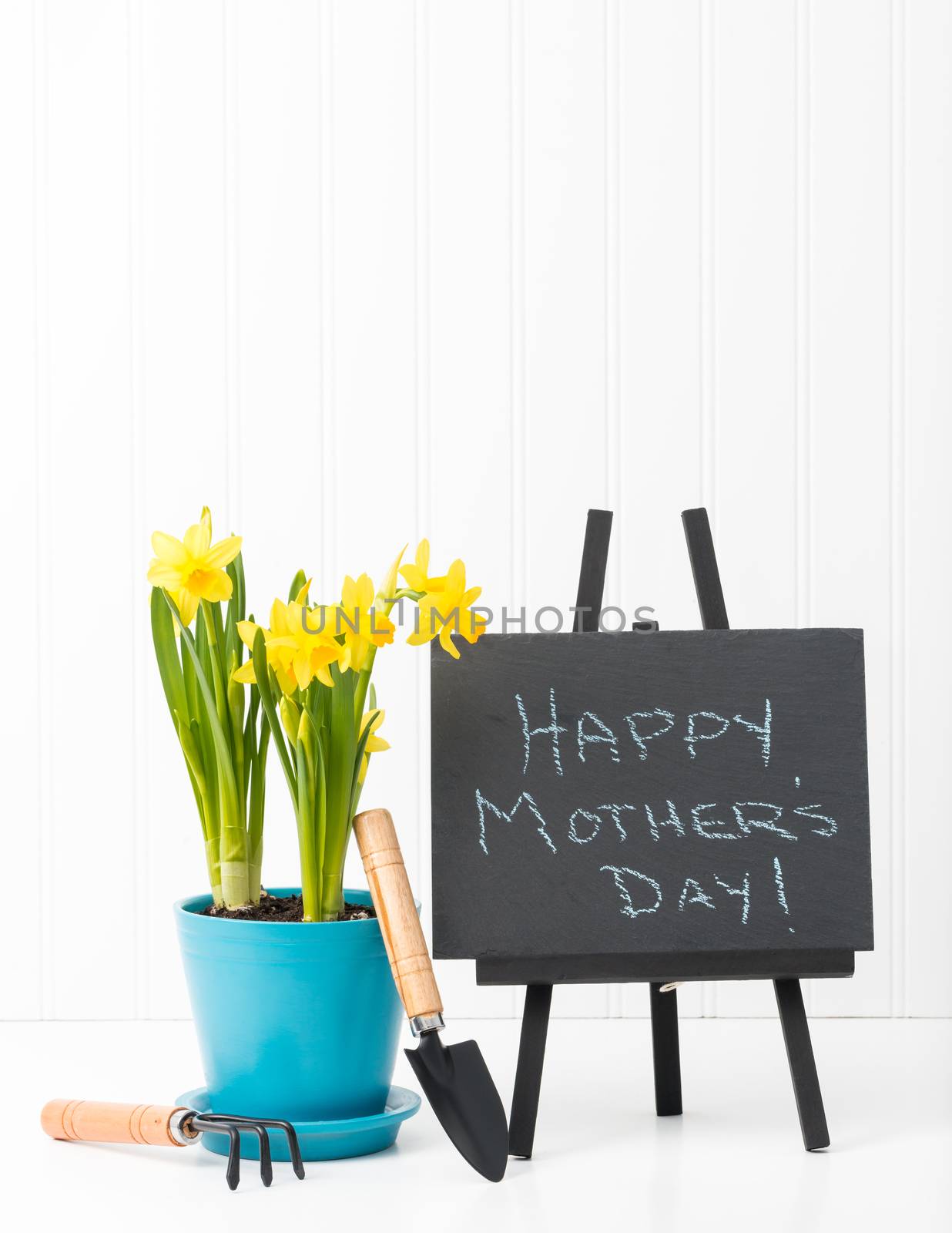 Beautiful spring daffodils and a Mothers Day message on a piece of slate,