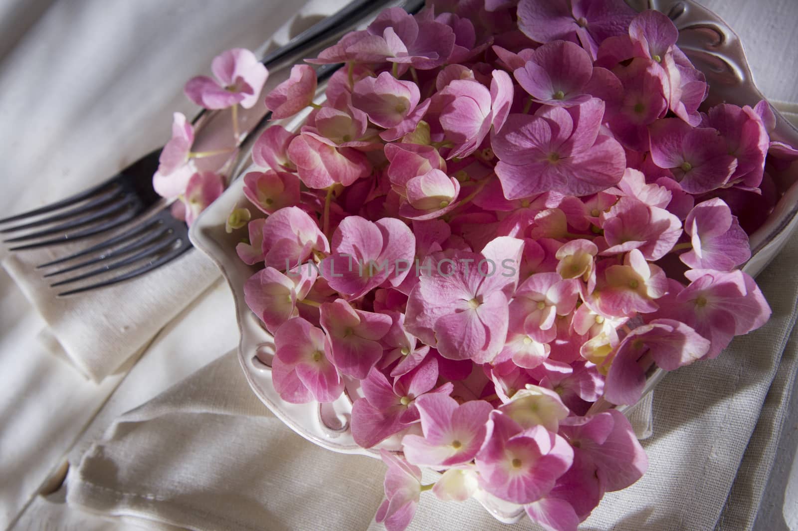 Using the flower hydrangea for the preparation and decoration of the table 