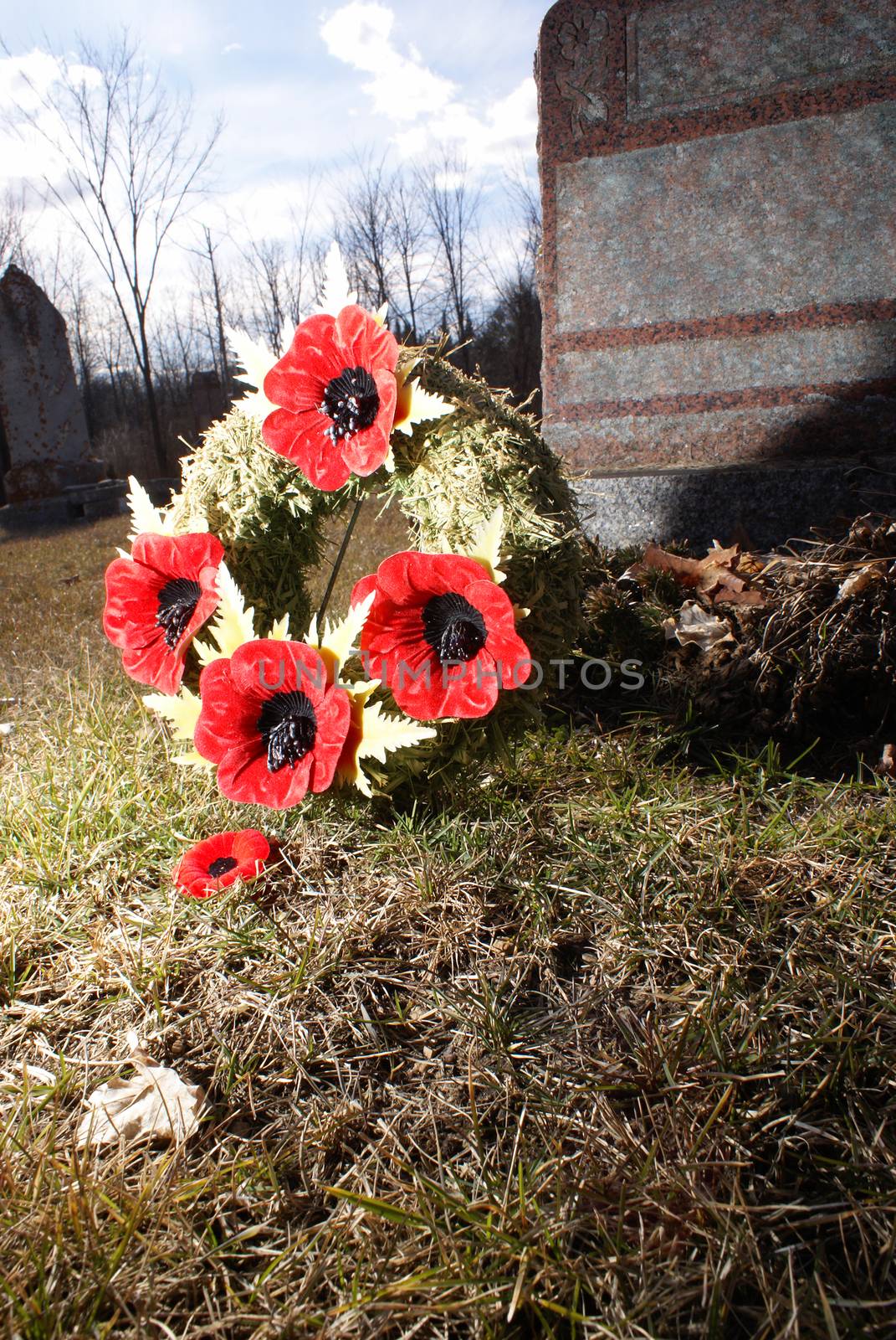 A close view of a poppy wreath at a tombstone for the honorable remembrance of those fallen loved ones.
