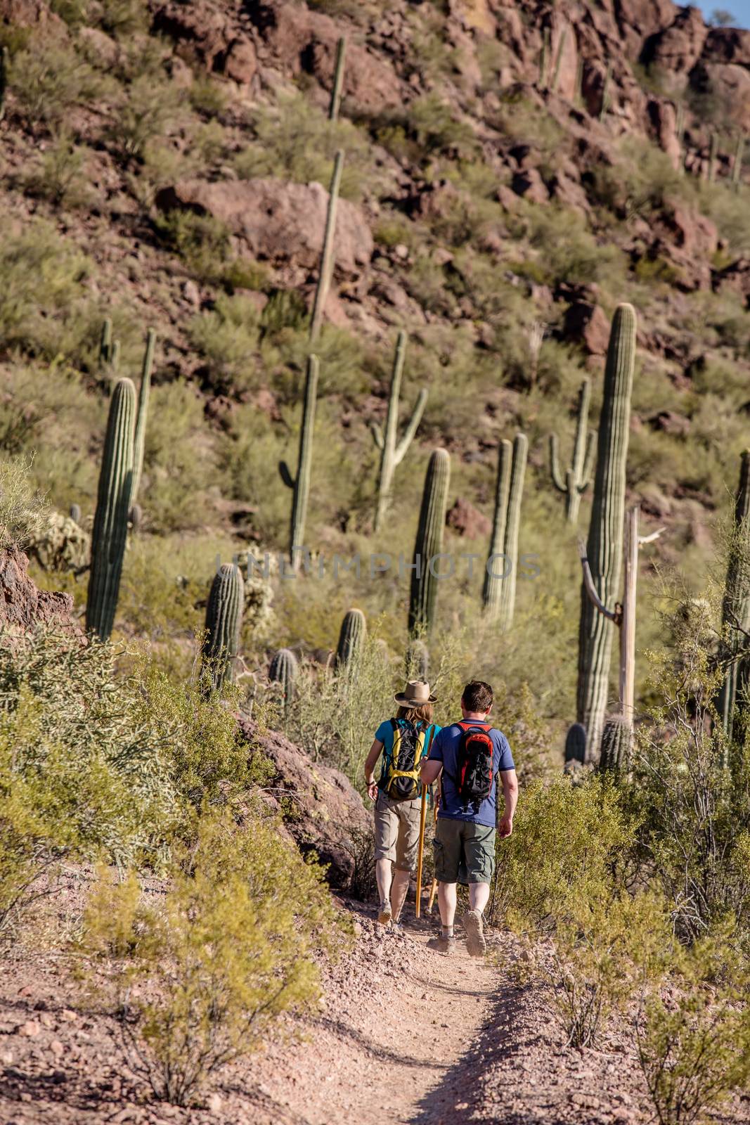 Desert Hikers in the Distance on Trail by Creatista