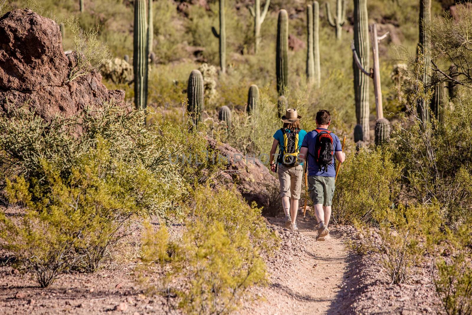 Two Hikers on Rugged Trail by Creatista