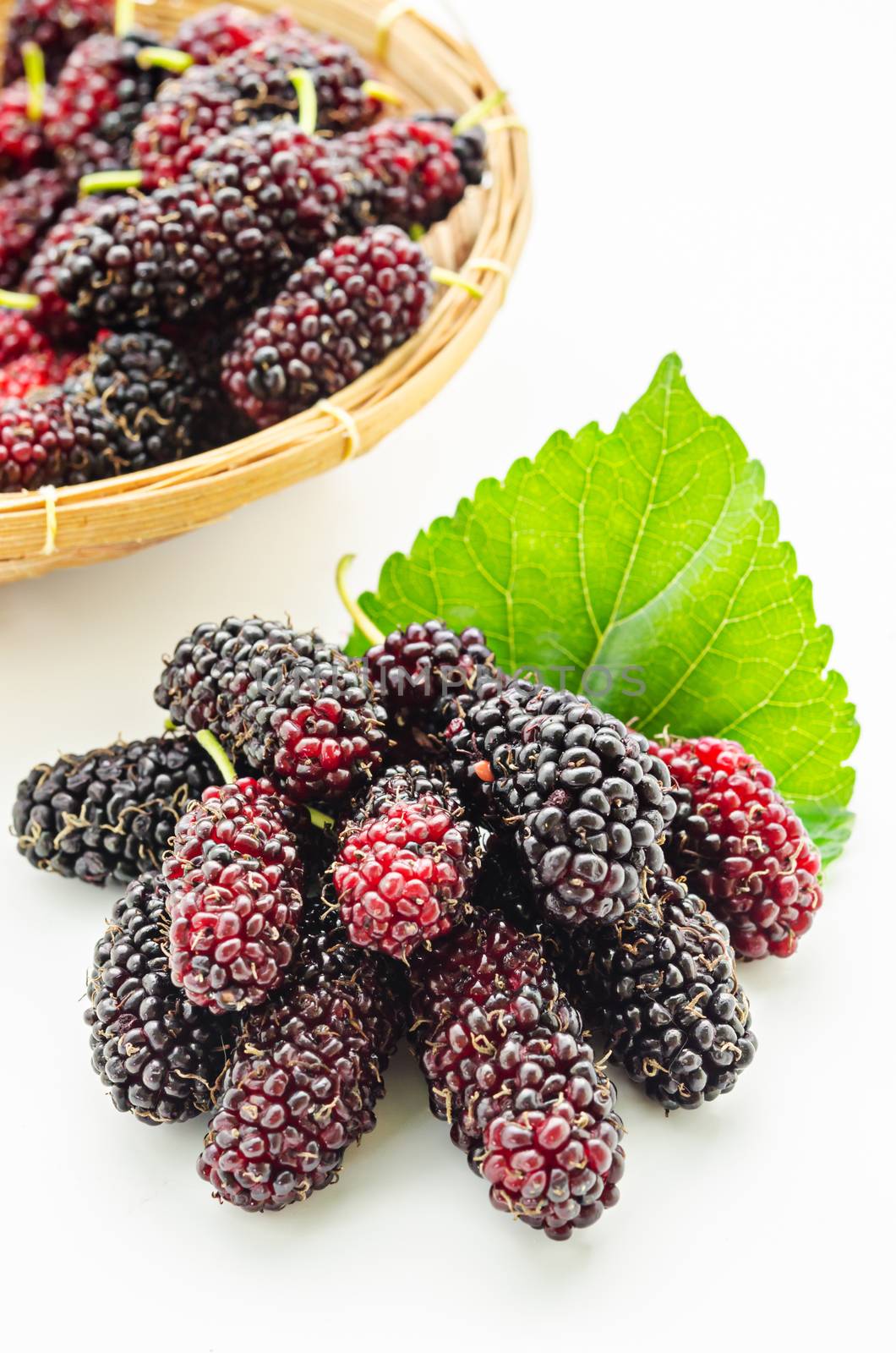 Mulberry and the green leaf on white background.