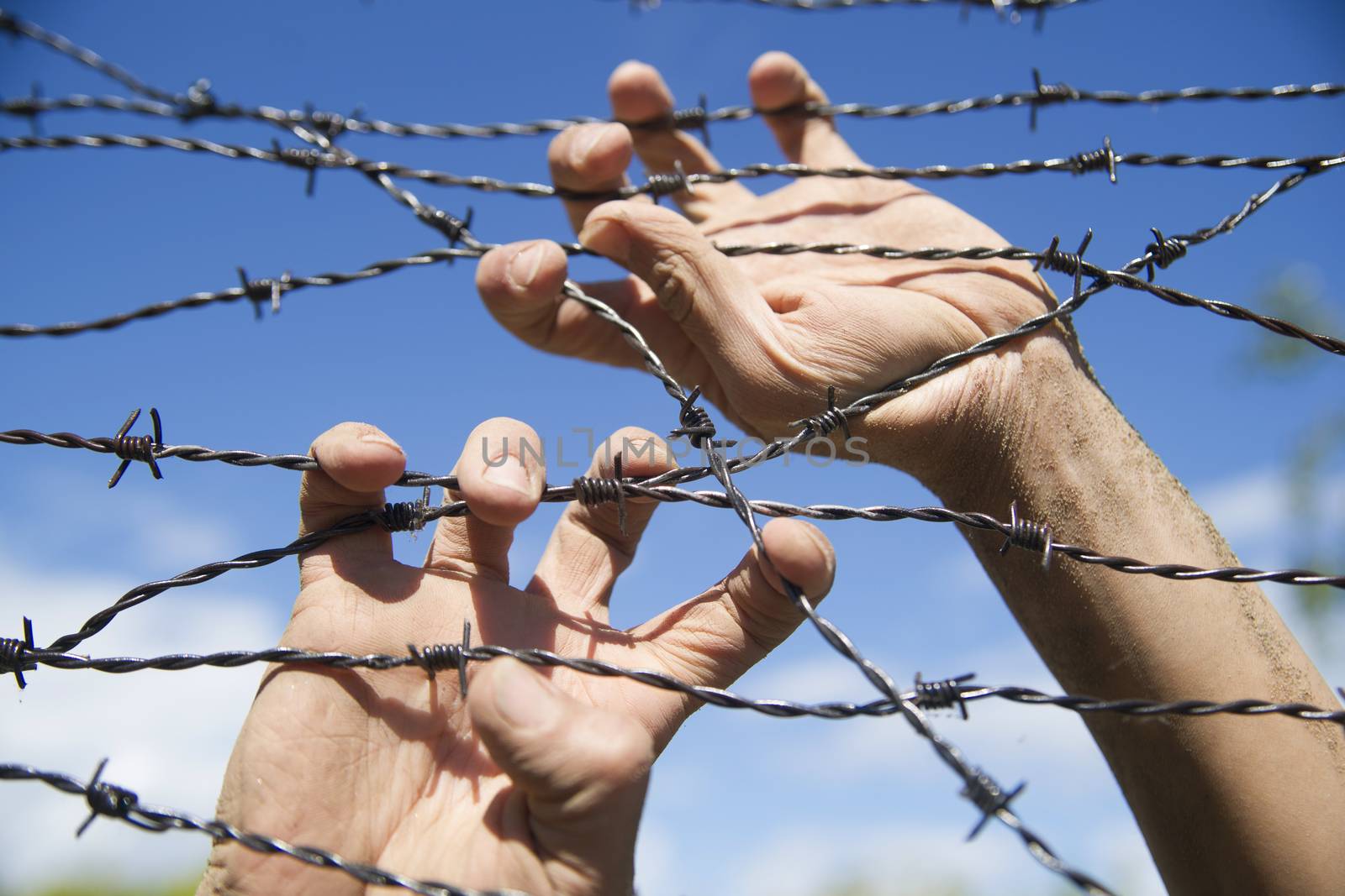 Hands gripping the barbed wire in the sign to run away with the blue sky background