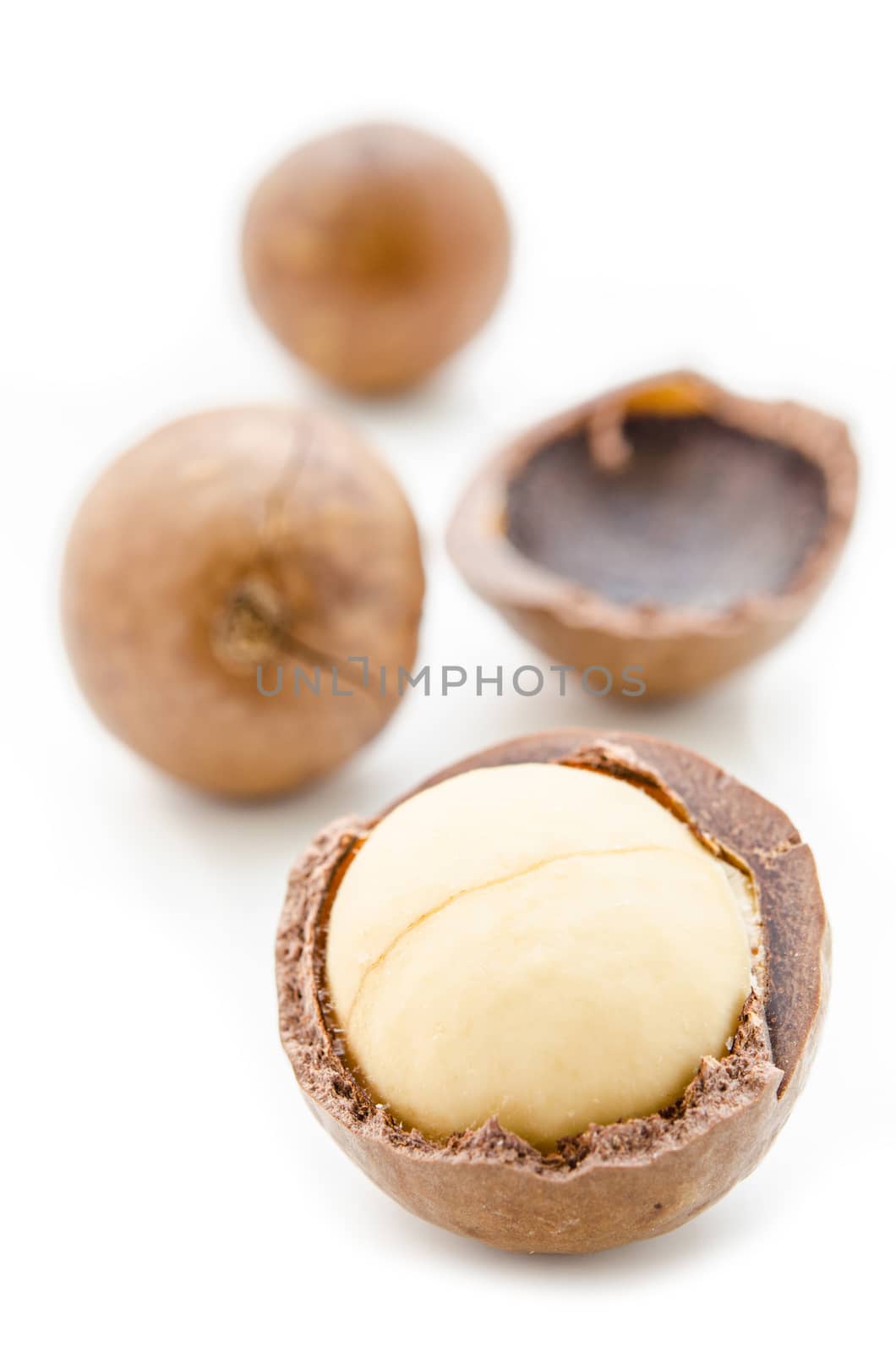 Macadamia nut on white. by Gamjai