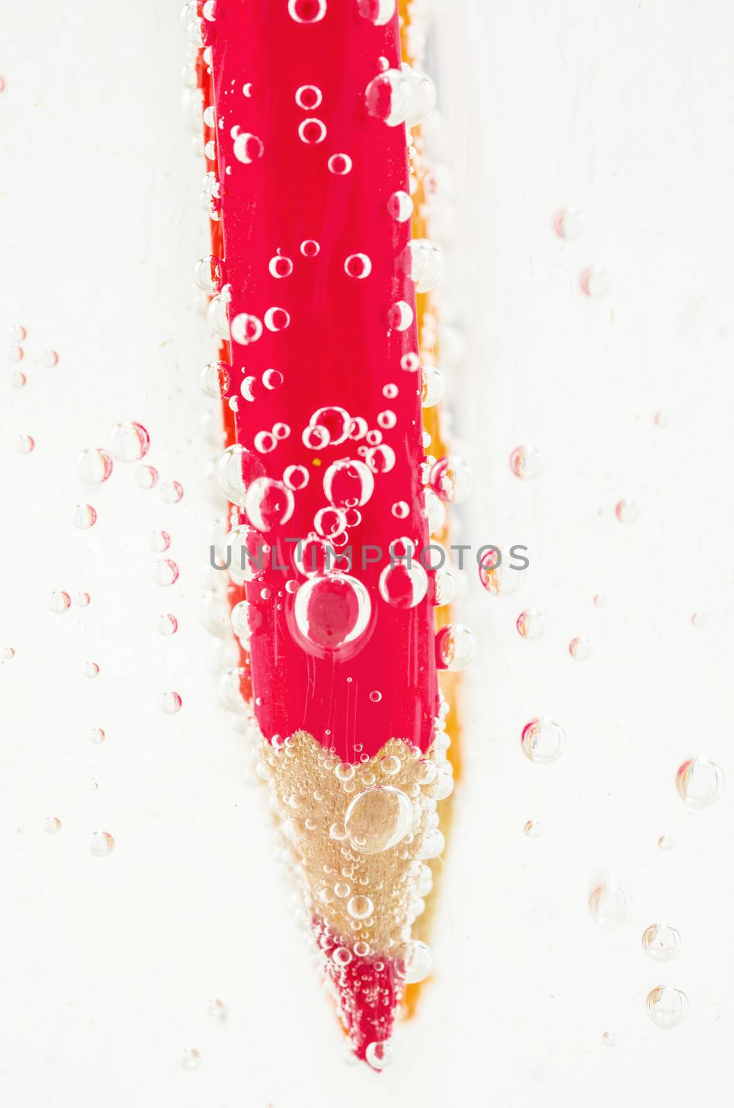 Red pencils in water soda with bubbles on white background