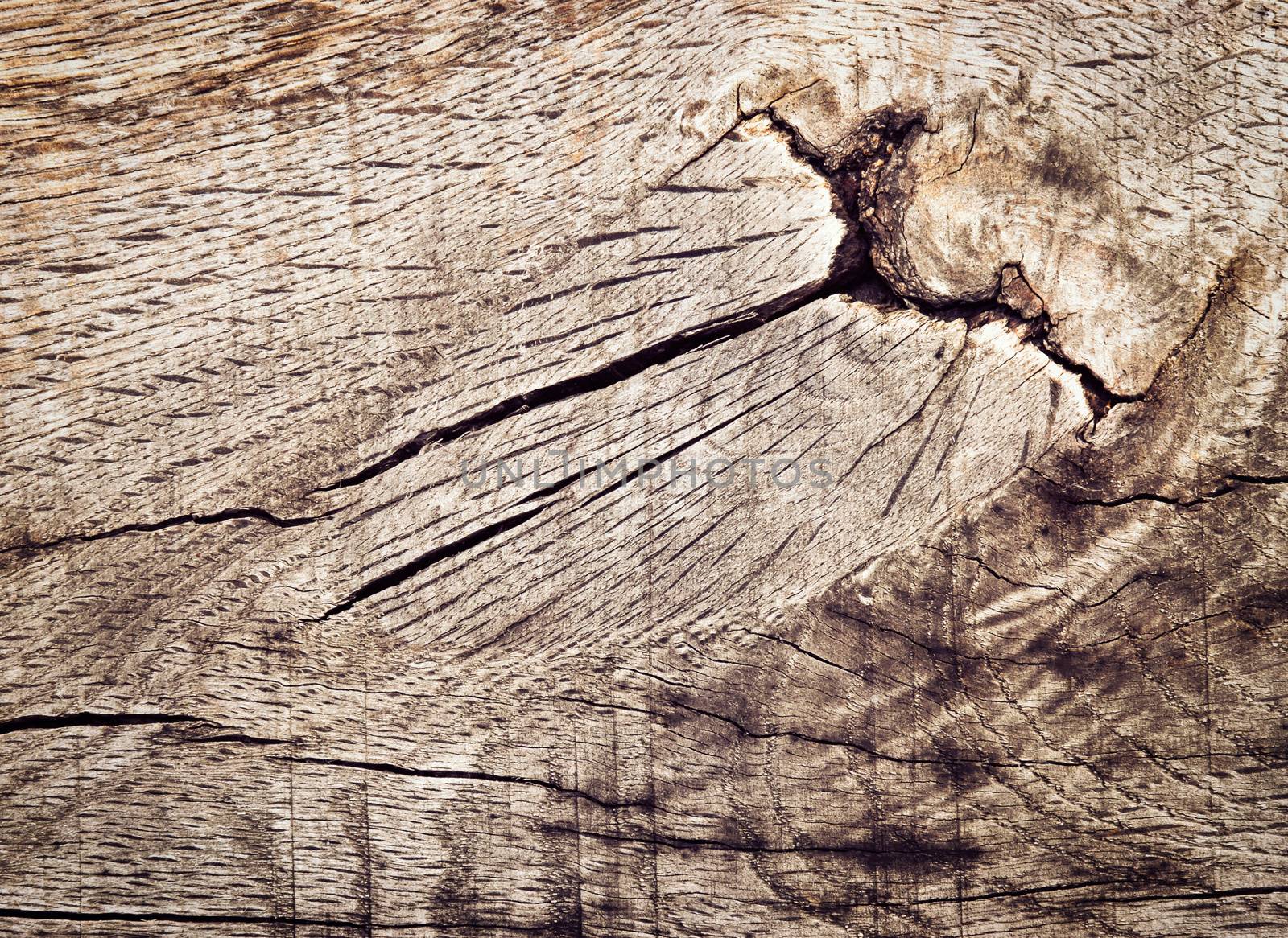 abstract background or texture Detail of an old weathered oak plank