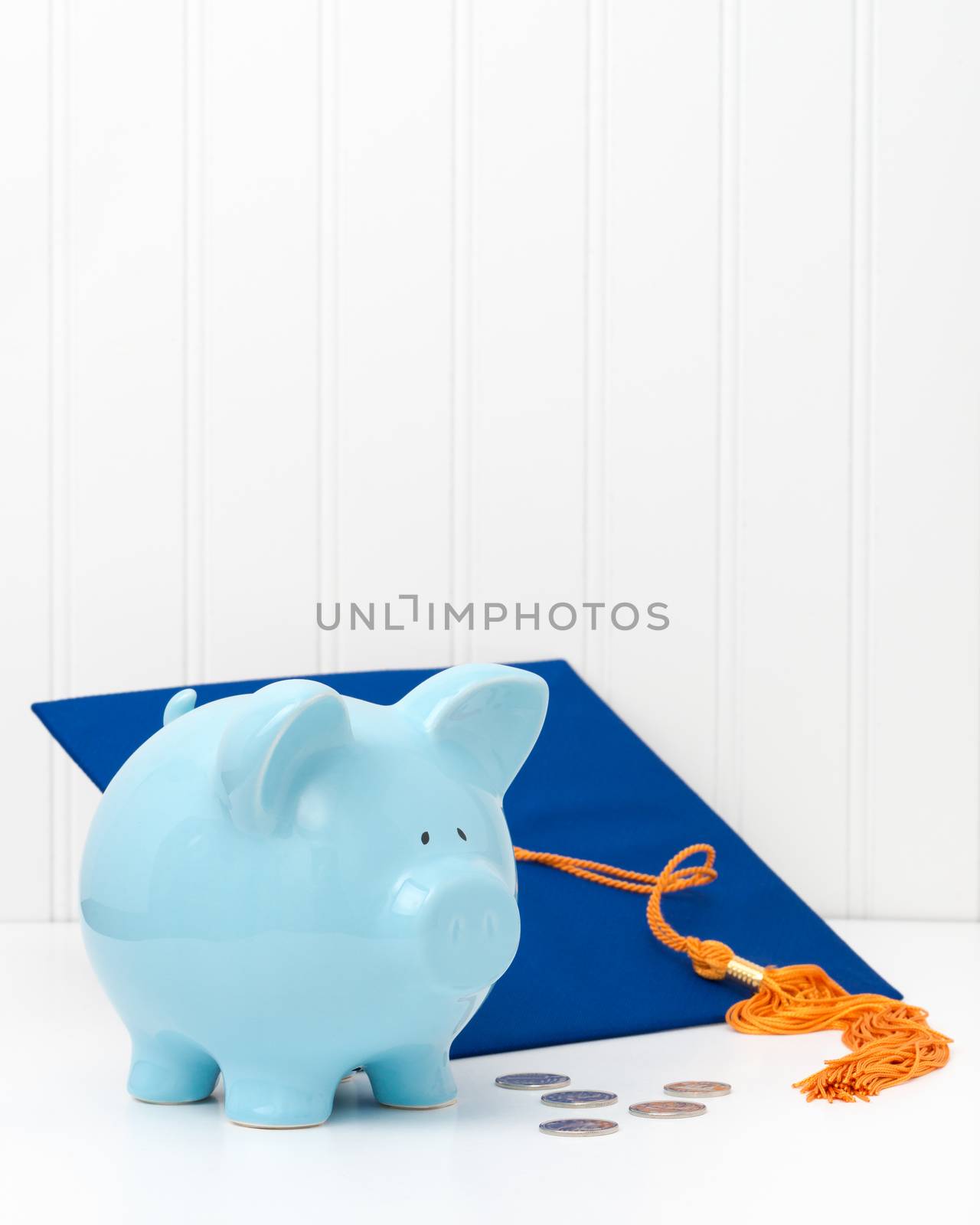 Piggy Bank and Graduation Cap Portrait by billberryphotography