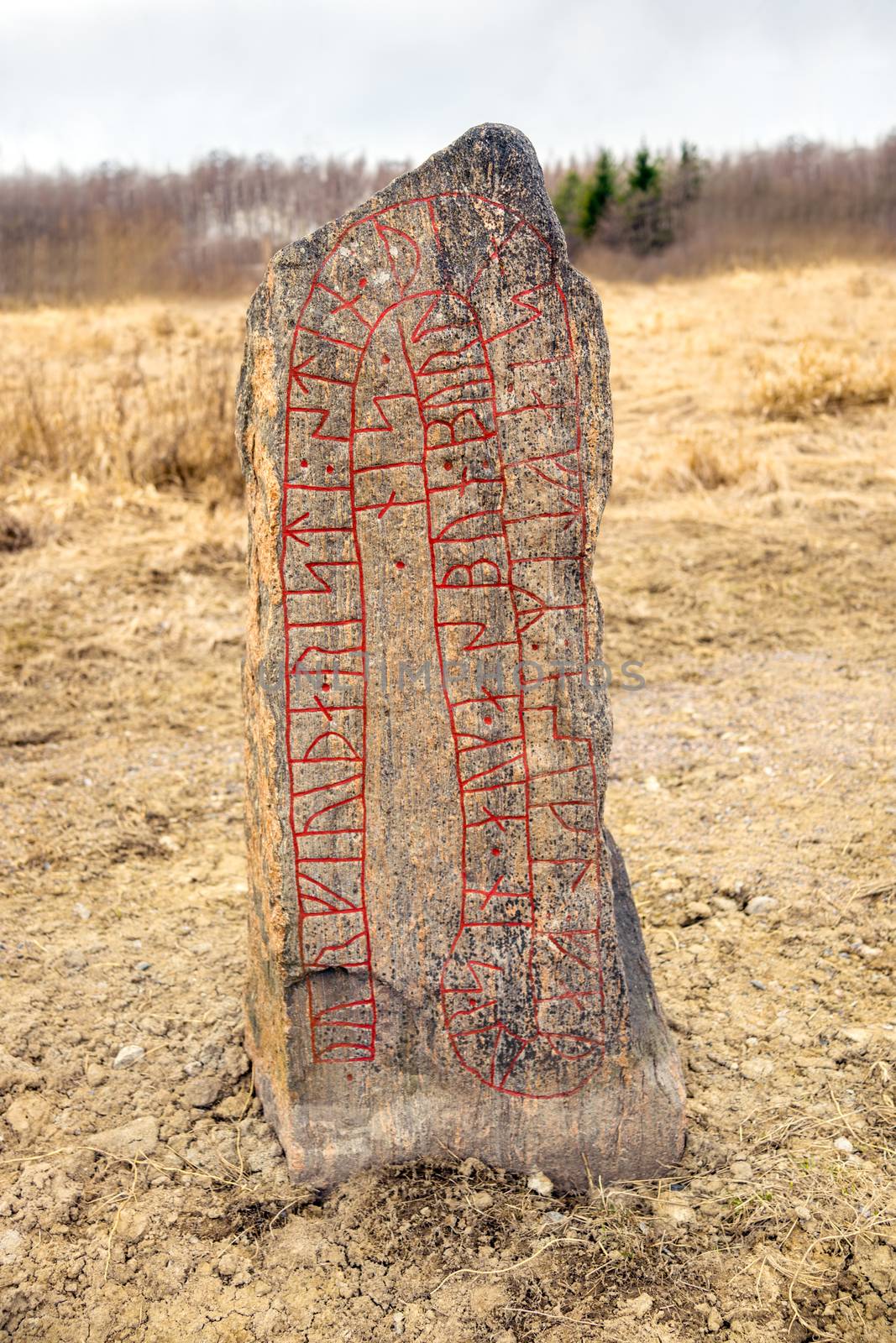 Runestone in a field