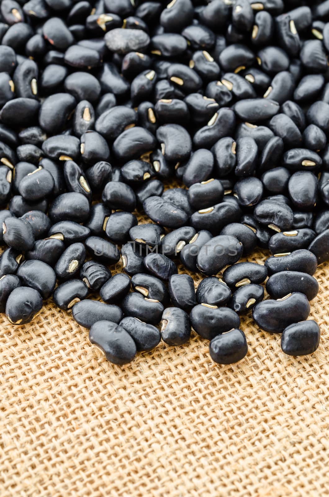 black beans seeds on sack background.