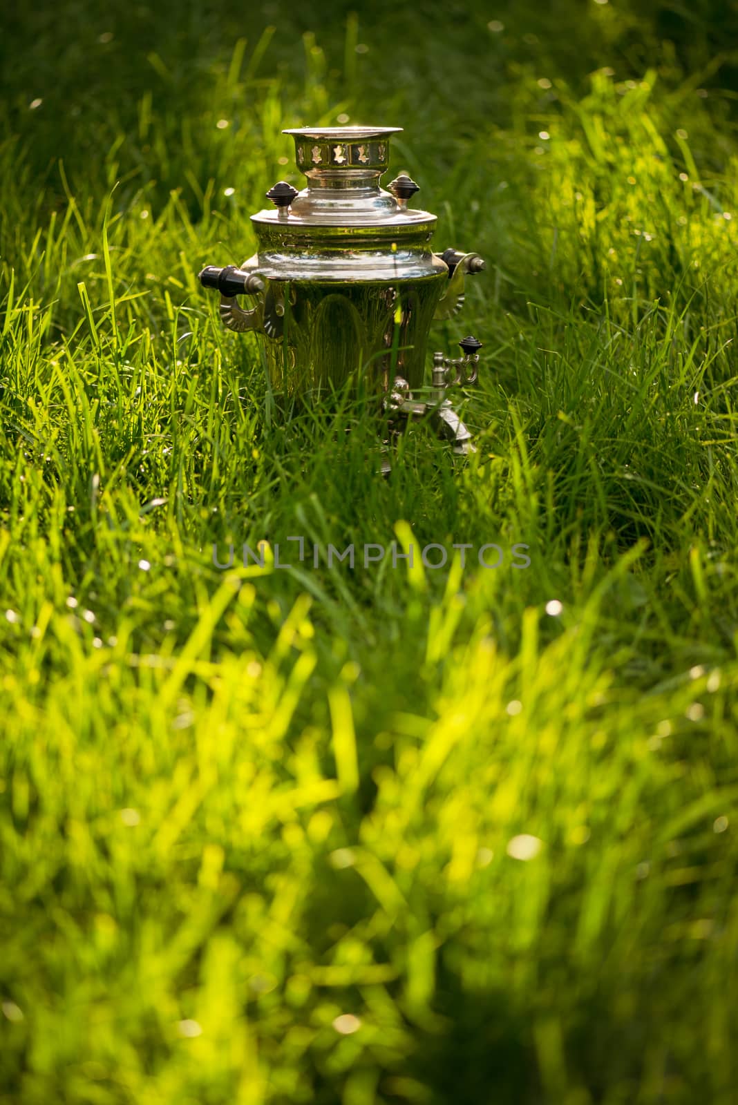 Rustic samovar on the fresh summer lawn. Copyspace.