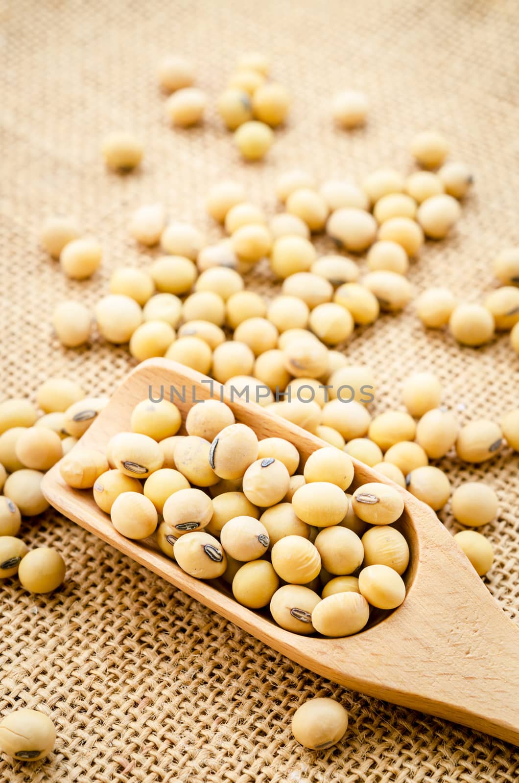 Soy beans in wooden spoon on sack background.