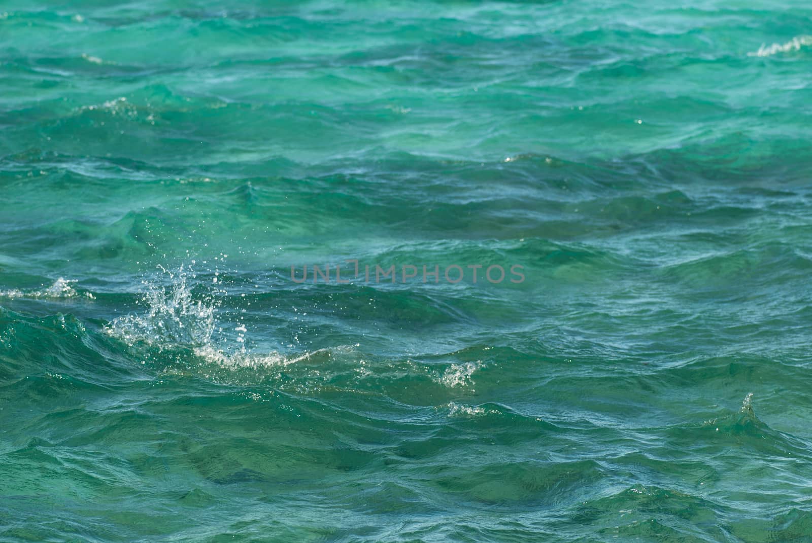 Photo closeup of beautiful clear turquoise sea ocean water surface with ripples low waves on seascape background, horizontal picture by skrotov