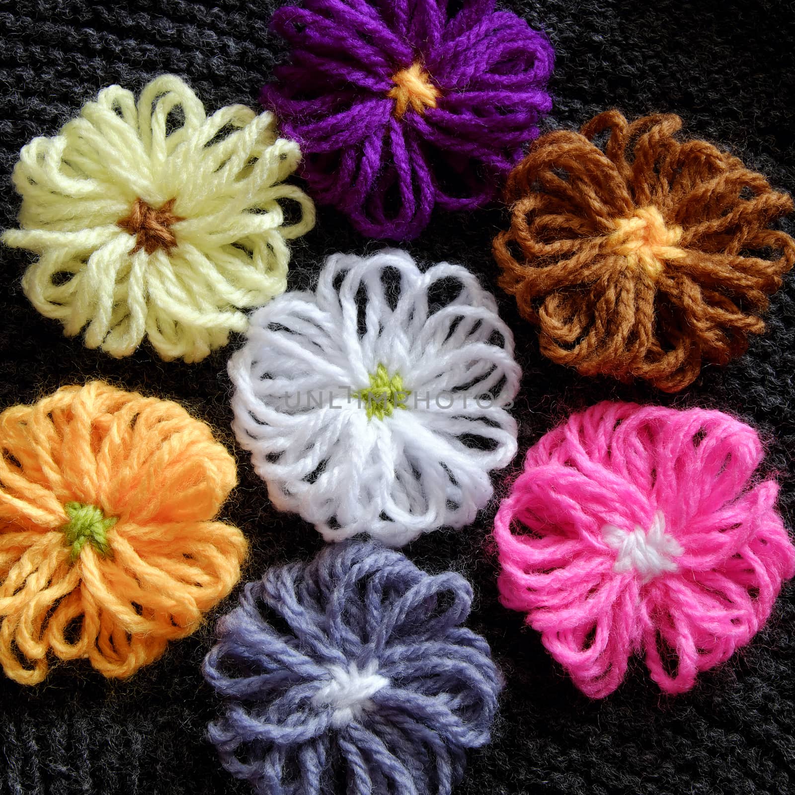 Group of handmade craft for mother day, colorful daisy flower on wool background, ornament make from yarn