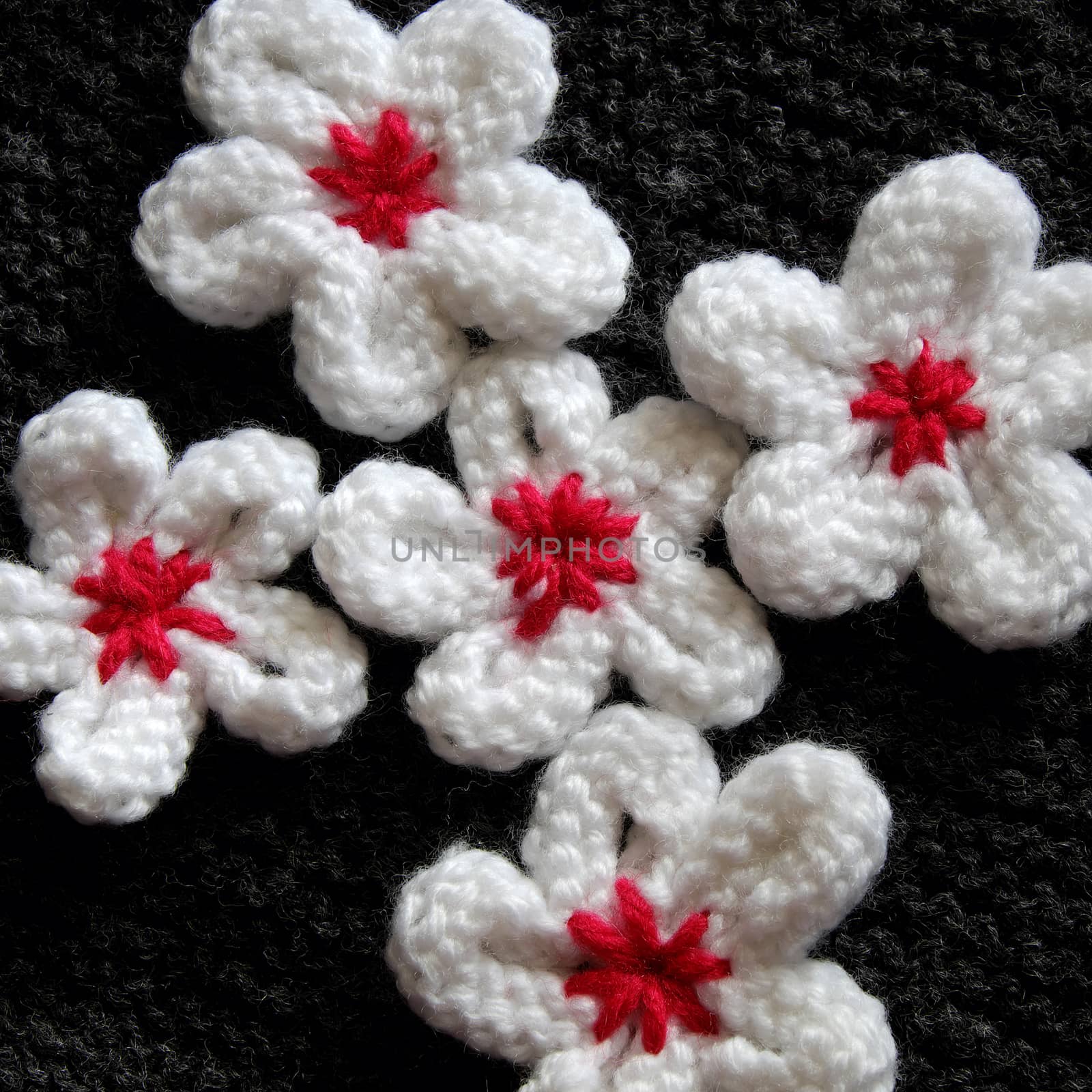 Group of handmade product for mother day, white daisy flower on wool background, make by knit from yarn