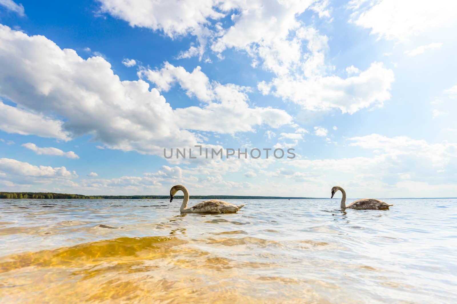 blue sky, natural clouds, nature series