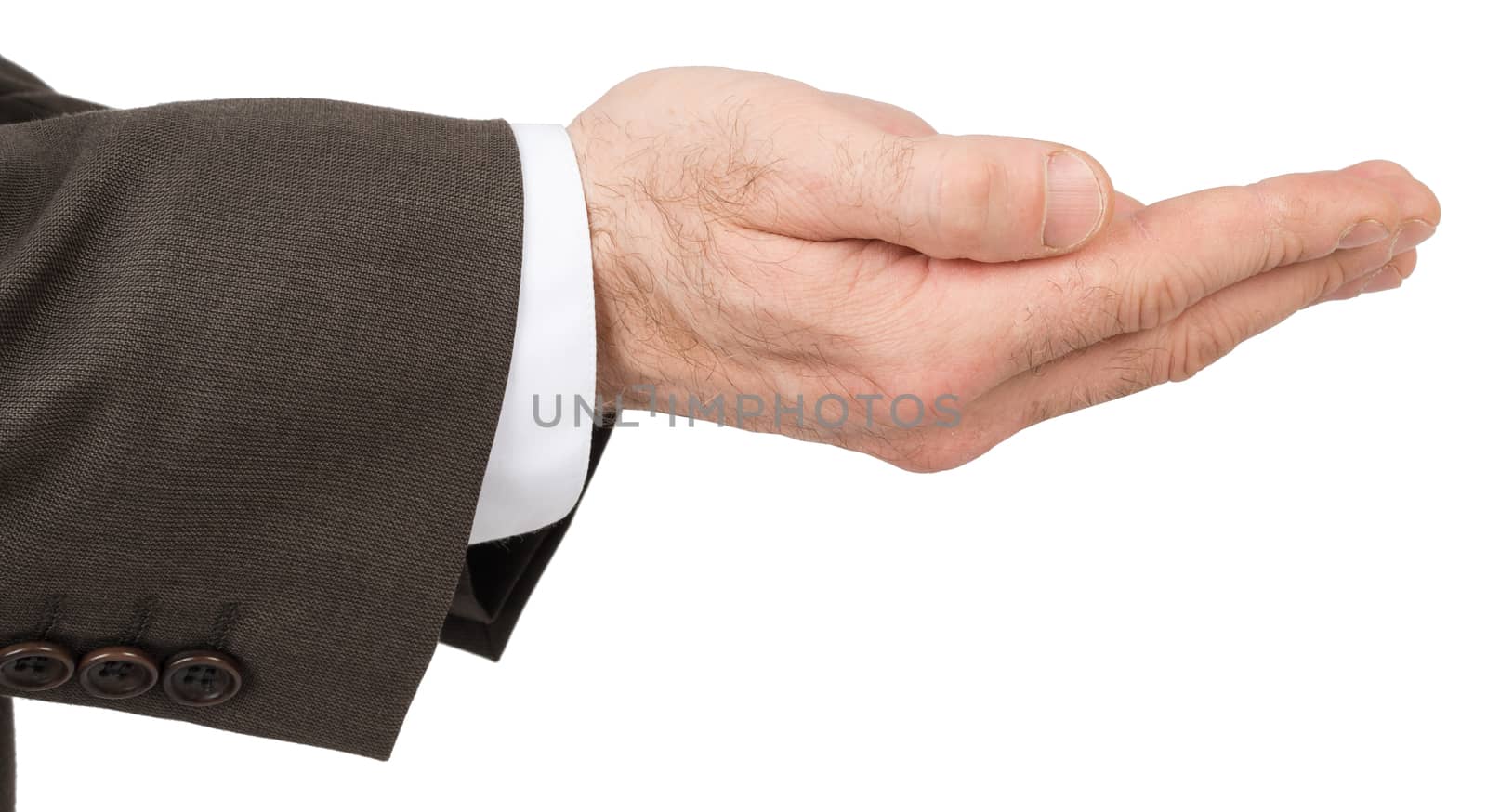 Business man hand isolated on white background