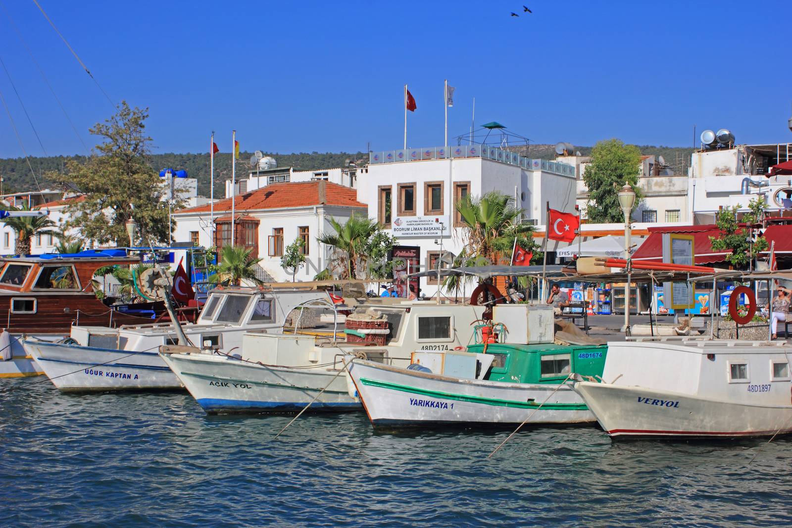 Traditional fishing boats in the port of Bodrum, popular holiday resort in Turkey.