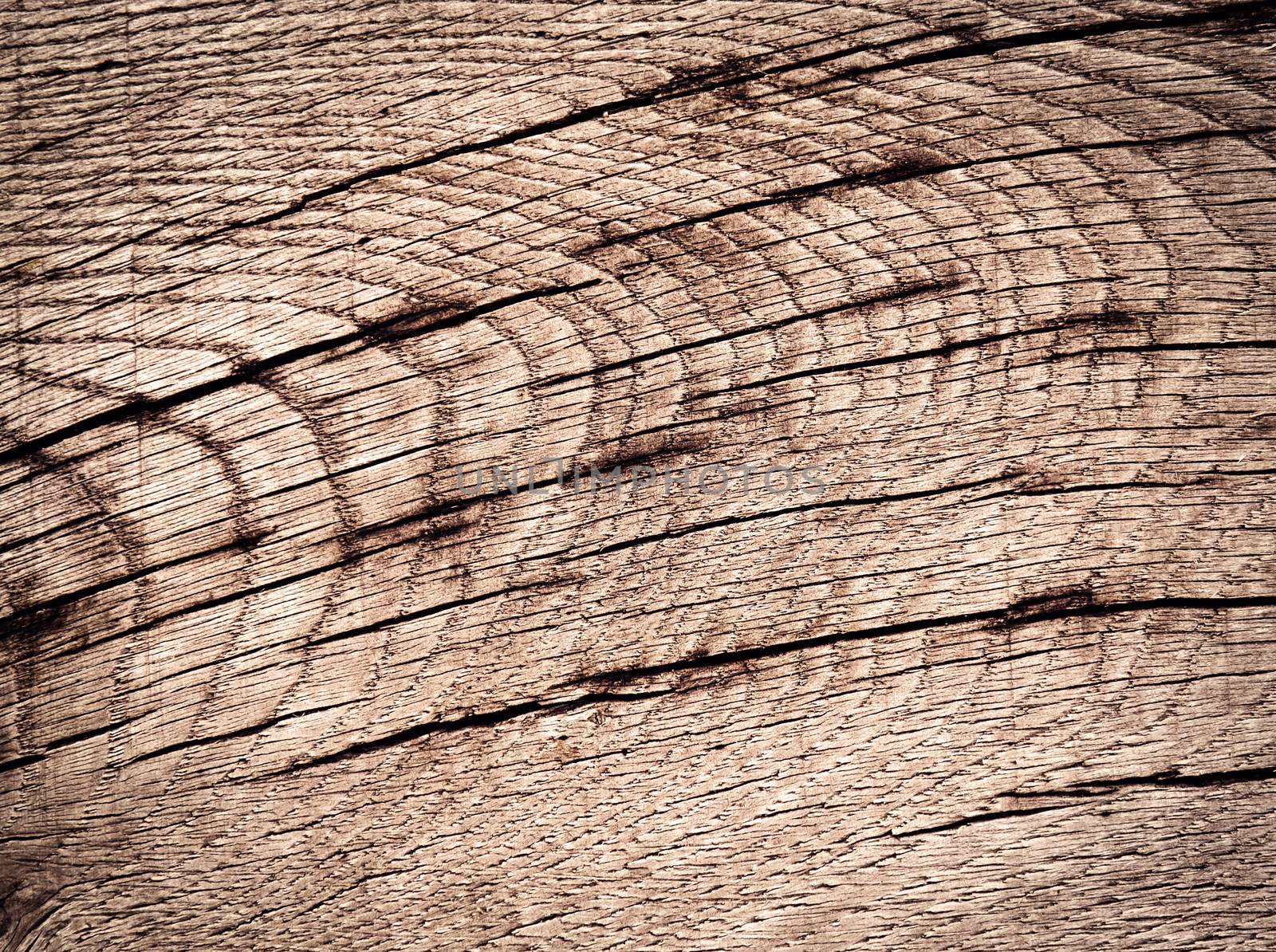abstract background or texture line crack on oak wood