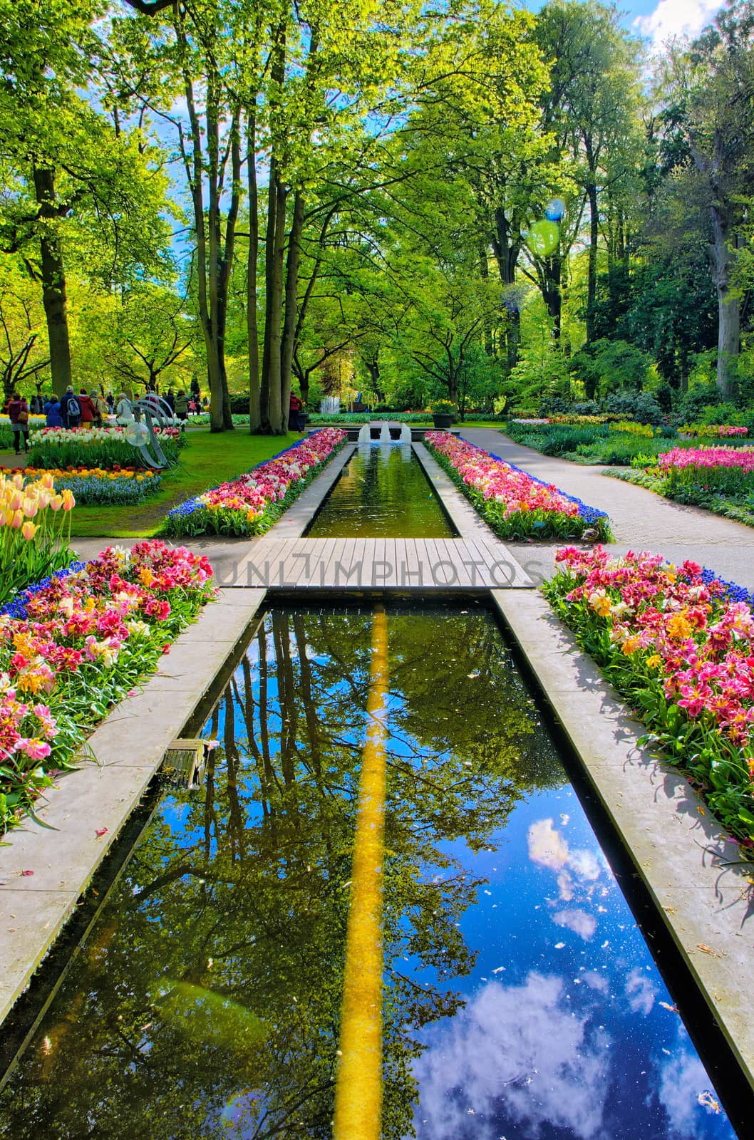 Water path surrounded by colorful tulips, Keukenhof Park, Lisse in Holland by Eagle2308