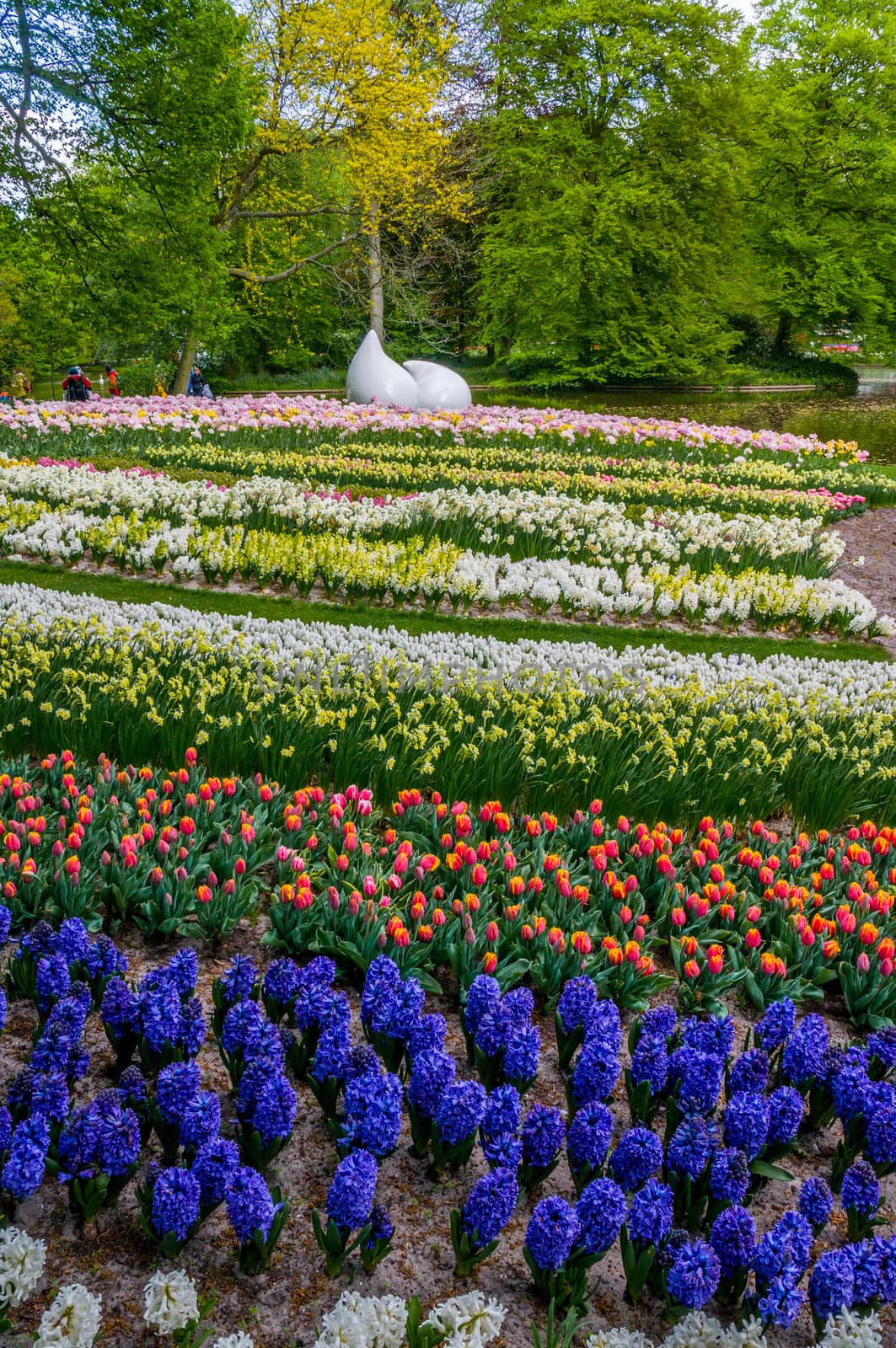 Drop monument with colorful daffodils and tulips, Keukenhof Park, Lisse in Holland by Eagle2308