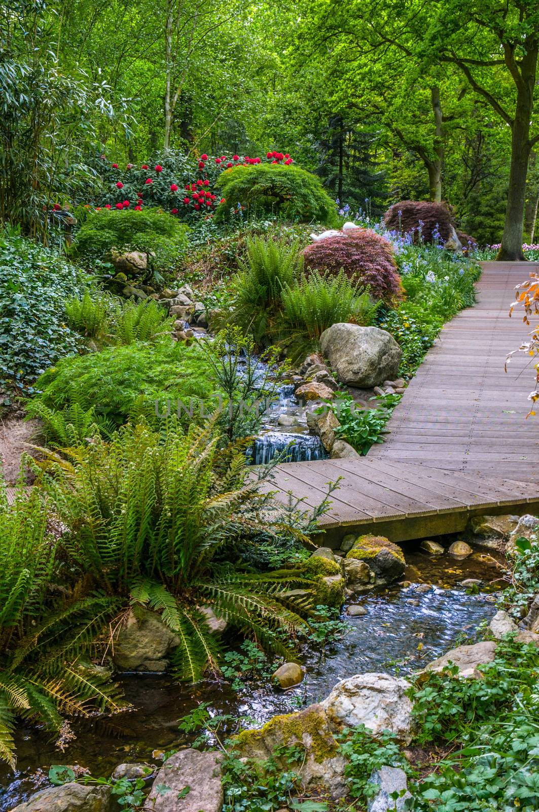 Creek and path in Keukenhof Park, Lisse in Holland