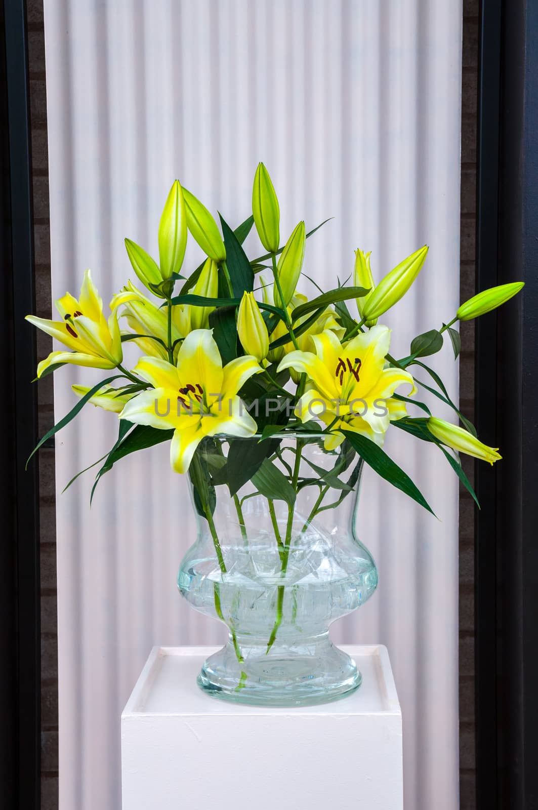 Yellow white lilies in glass vase, Keukenhof Park, Lisse in Holland.