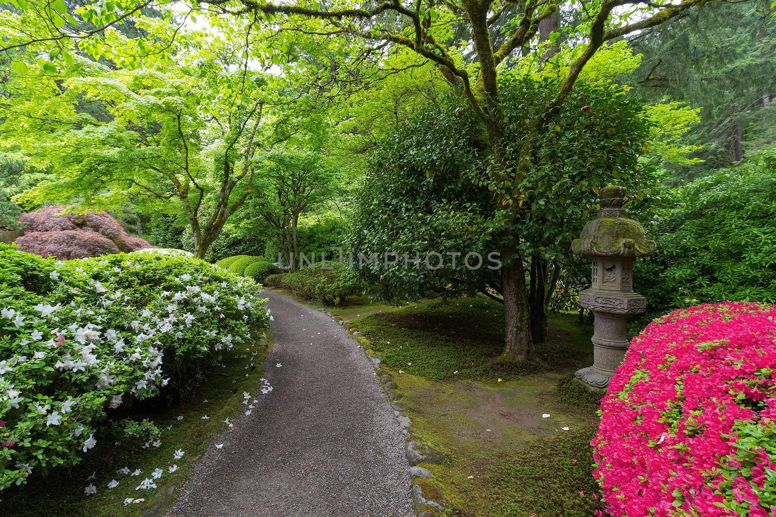 Garden Path with stone lantern plants and flowers at Japanese Garden