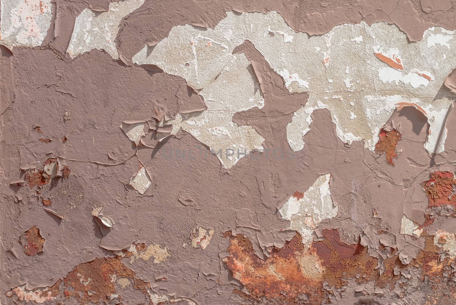 chipped paint on an old plaster wall, landscape style, grunge concrete surface, great background or texture by uvisni