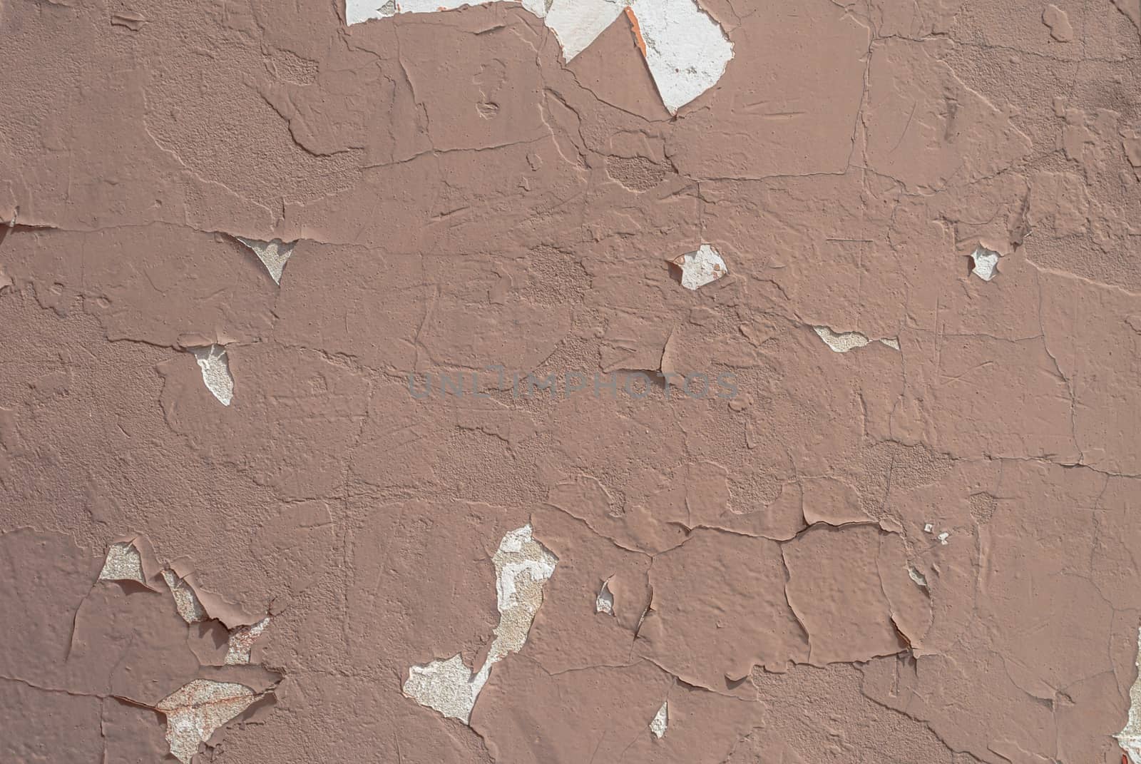 chipped paint on an old plaster wall, landscape style, grunge concrete surface, great background or texture by uvisni