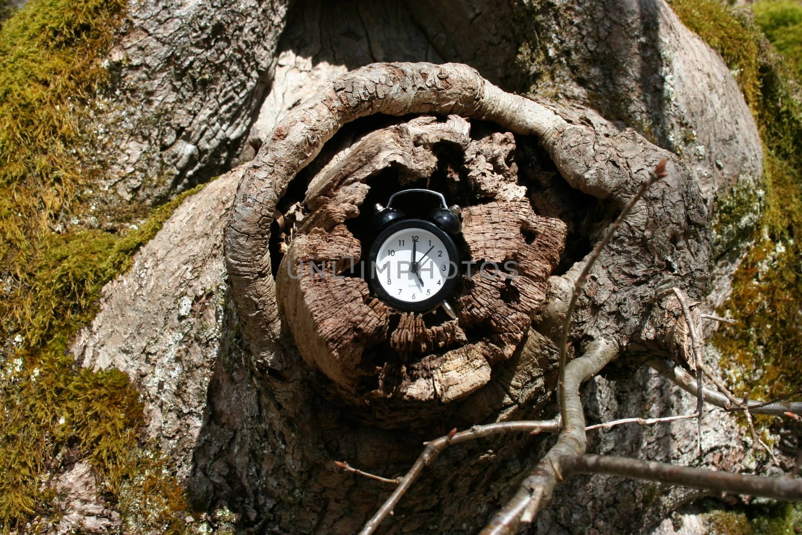 Nature clock