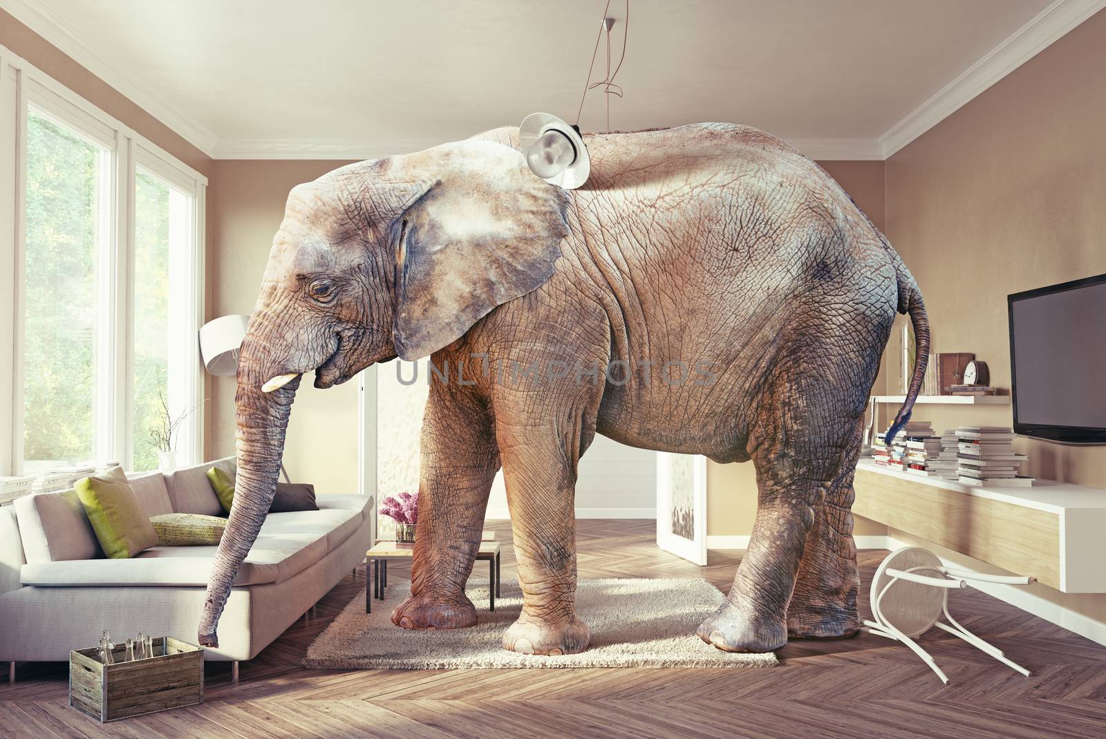 Big elephant and the case of beer  in the living room. 3d concept