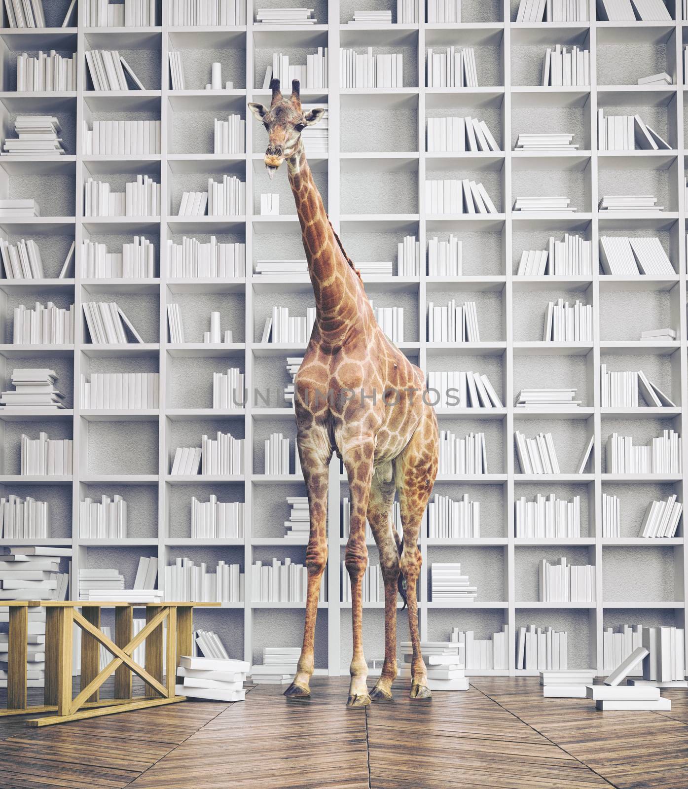 giraffe in the room with book shelves. Creative photo combination concept