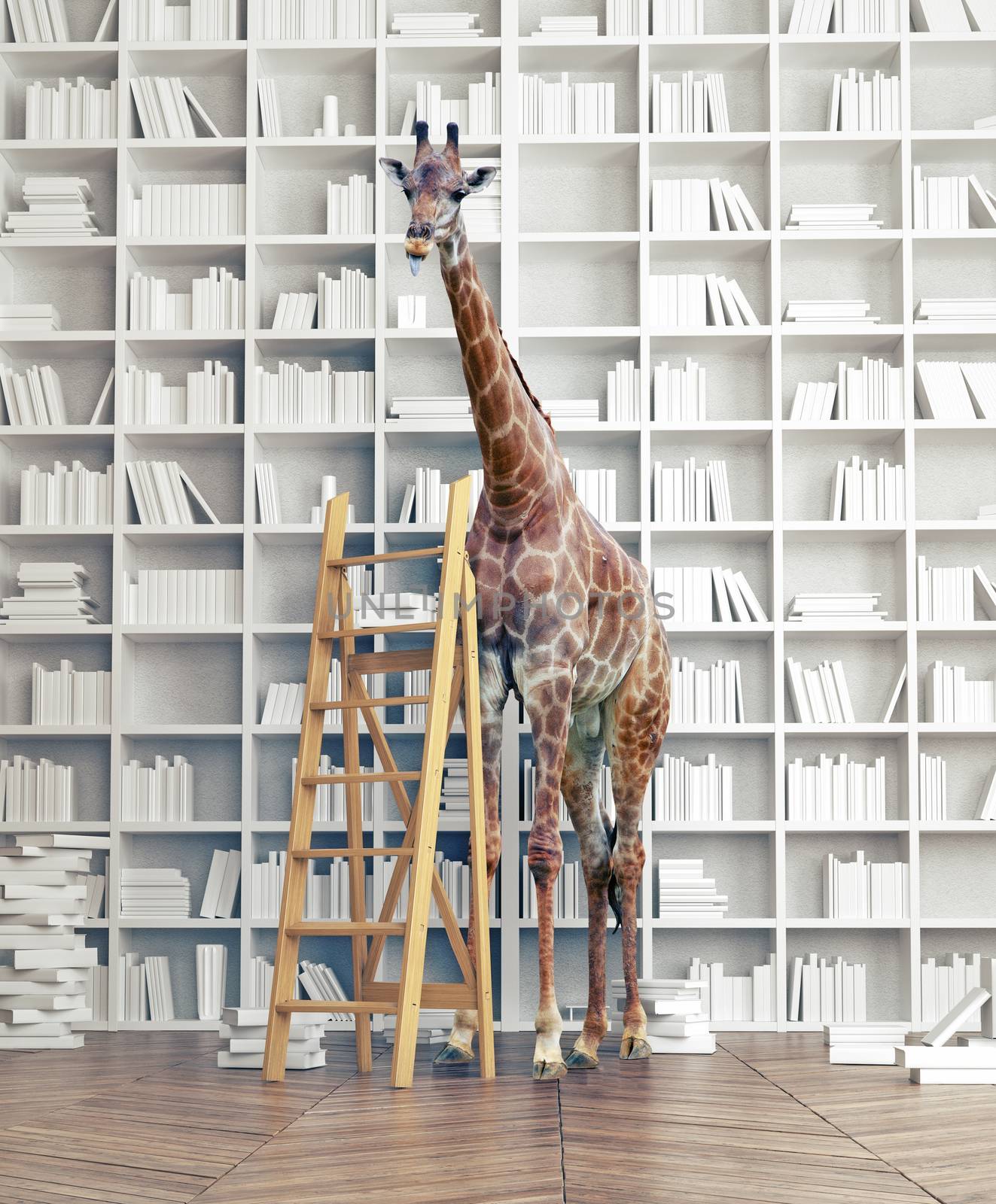 giraffe  in the room with book shelves. Creative photo combination concept