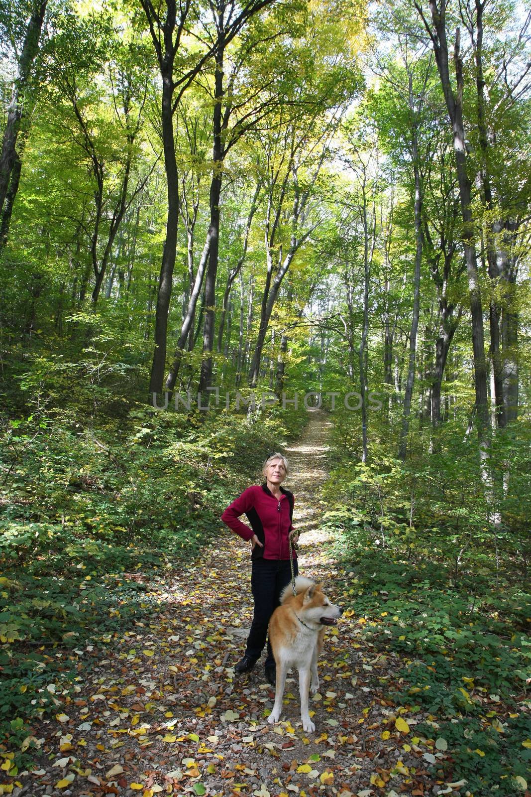 Happy lady in forest posing with her dog Akita Inu 