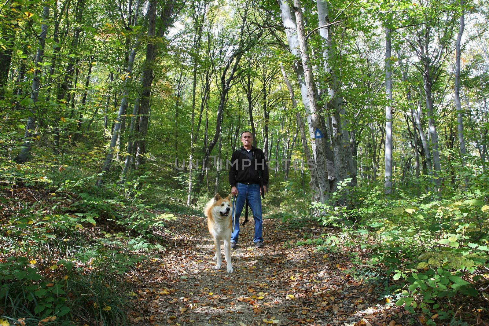 Man and his Akita Inu dog enjoying in the forest