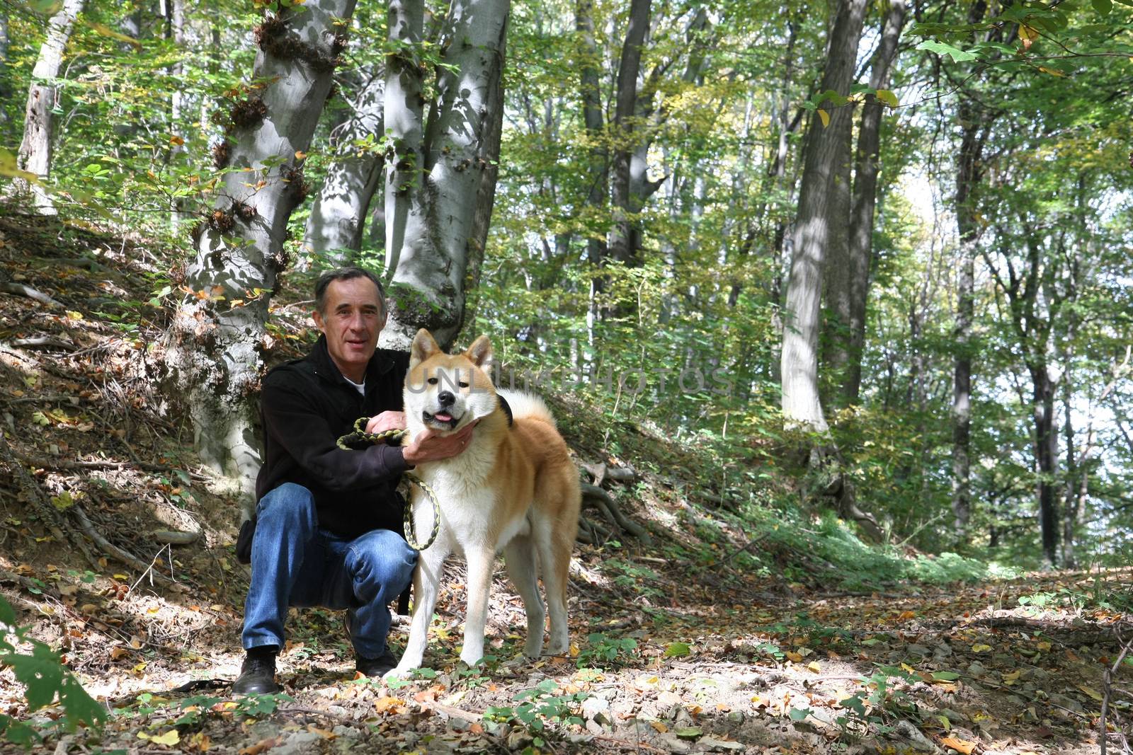 Man and his Akita Inu dog enjoying in the forest