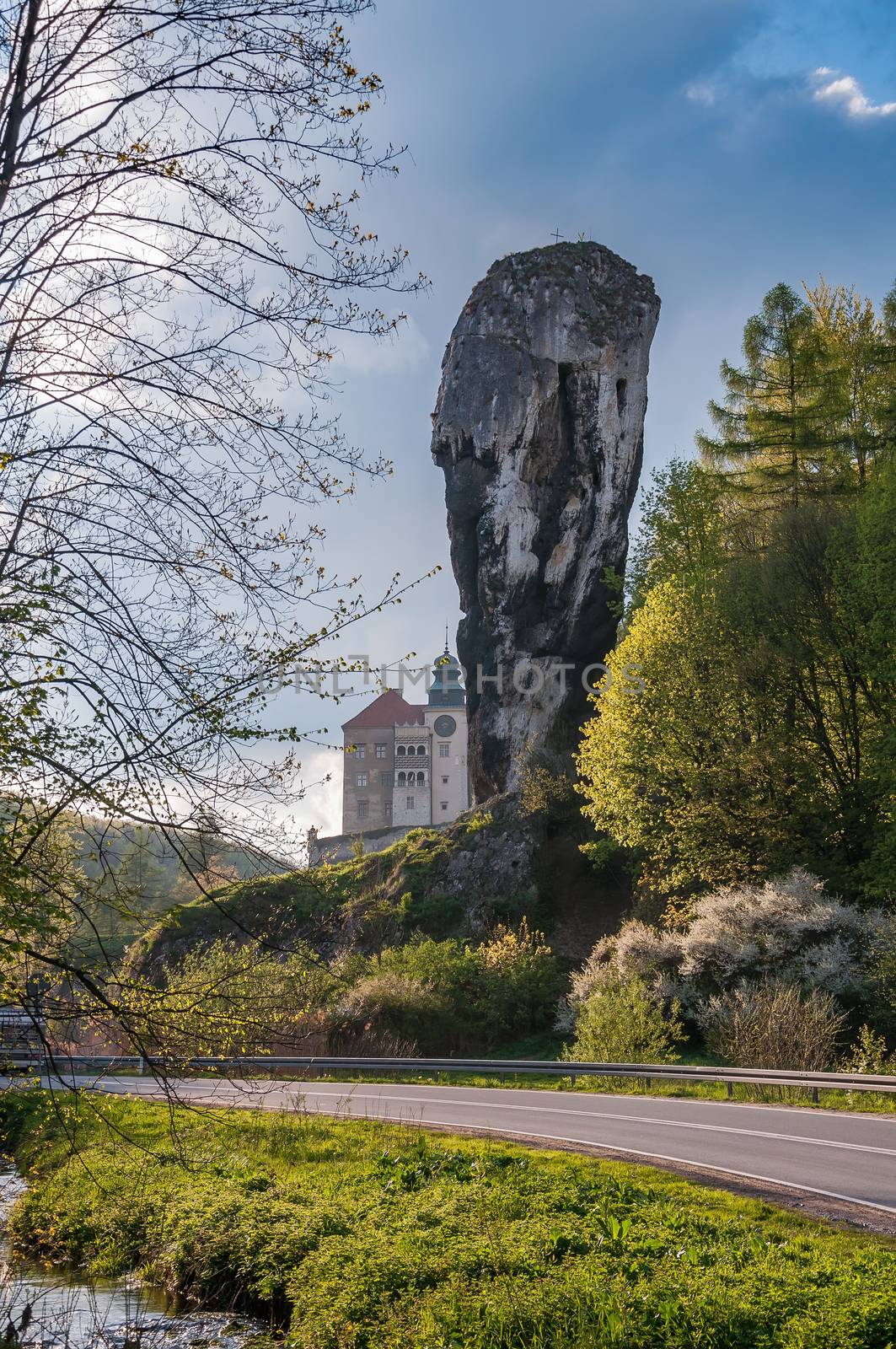 Rock called Hercules Club in Ojcow National Park, Poland